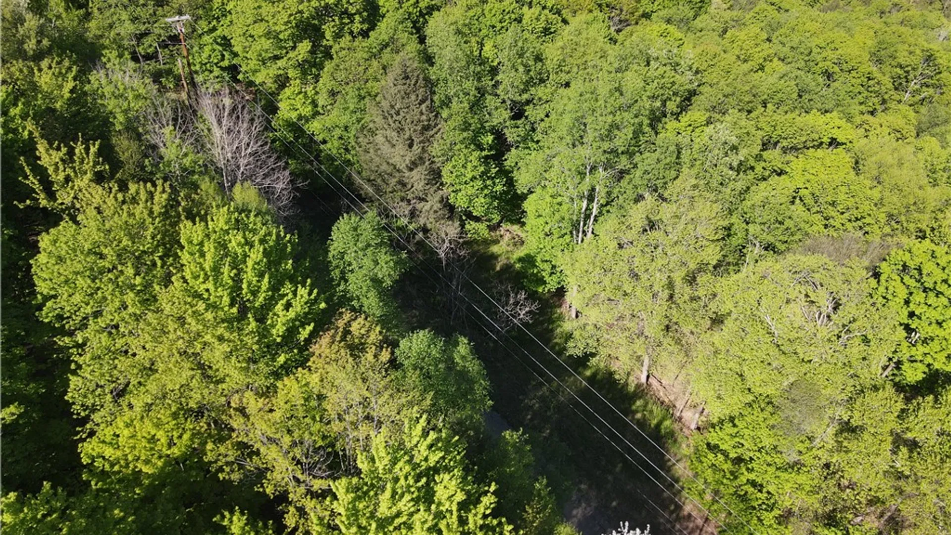 Property at VL Lot 1 Dry Run Road, Hornby, NY 14812 45
