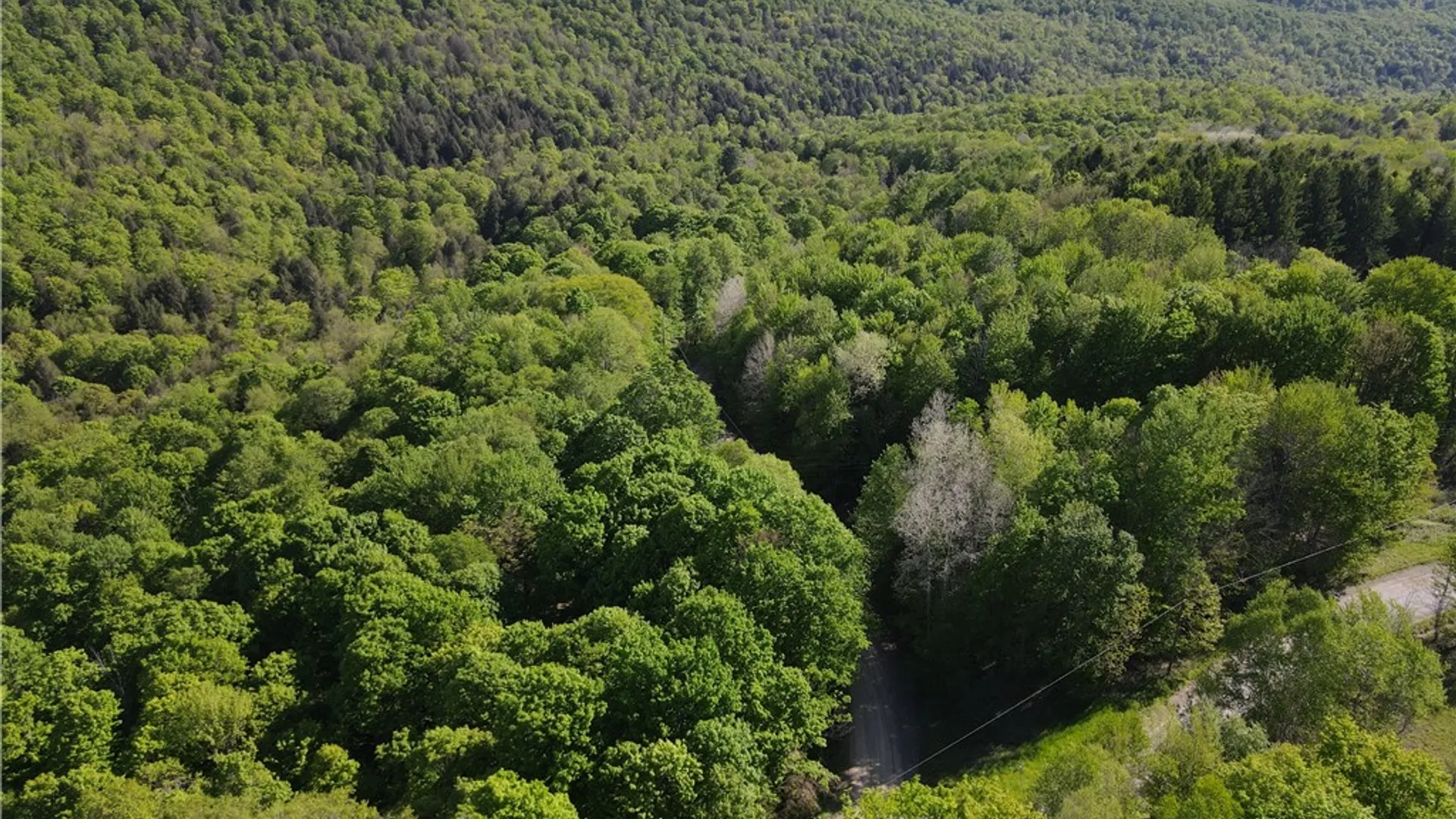 Property at VL Lot 1 Dry Run Road, Hornby, NY 14812 8