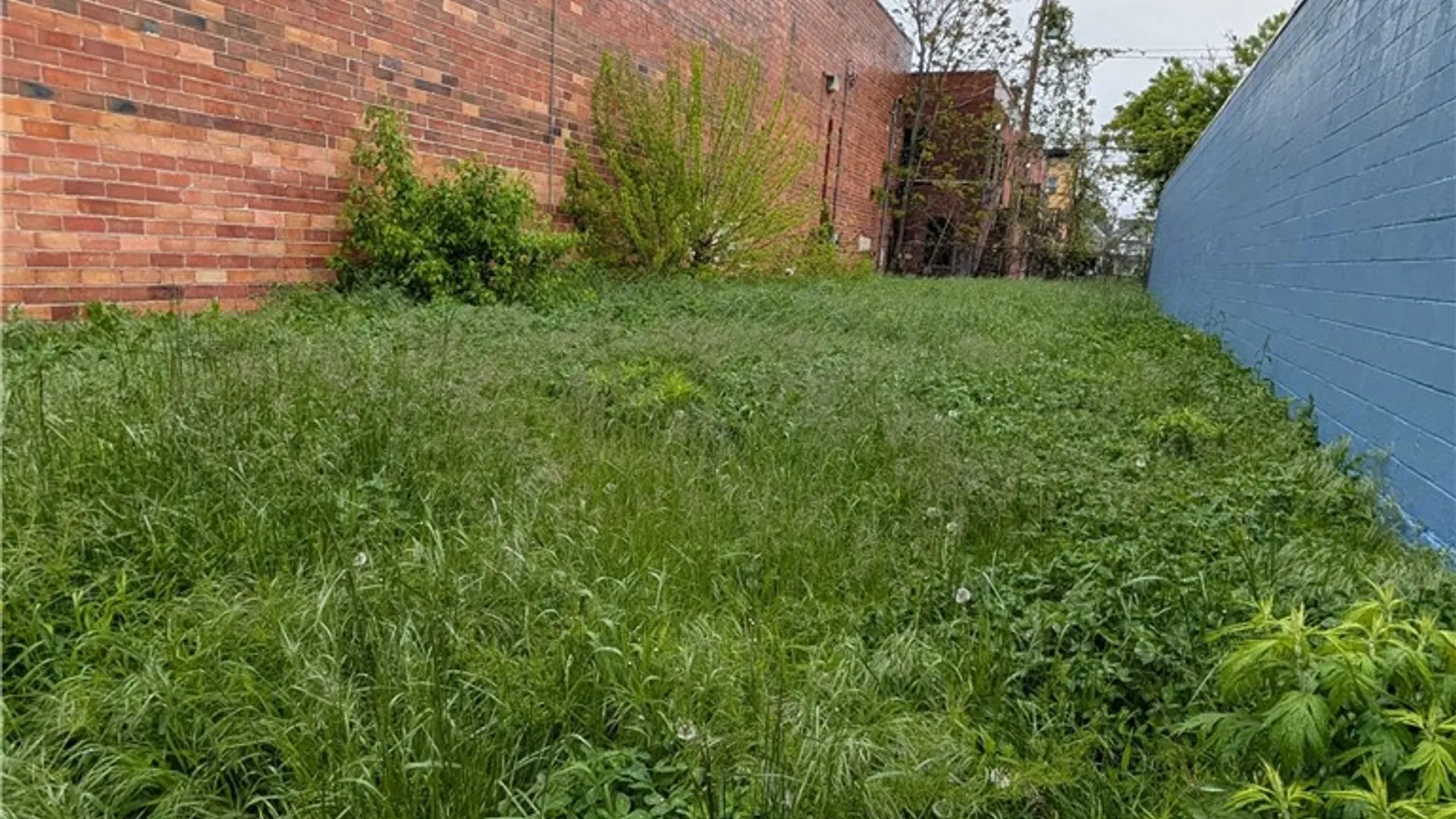 Property at 310 W Ferry Street, Buffalo, NY 14213 2