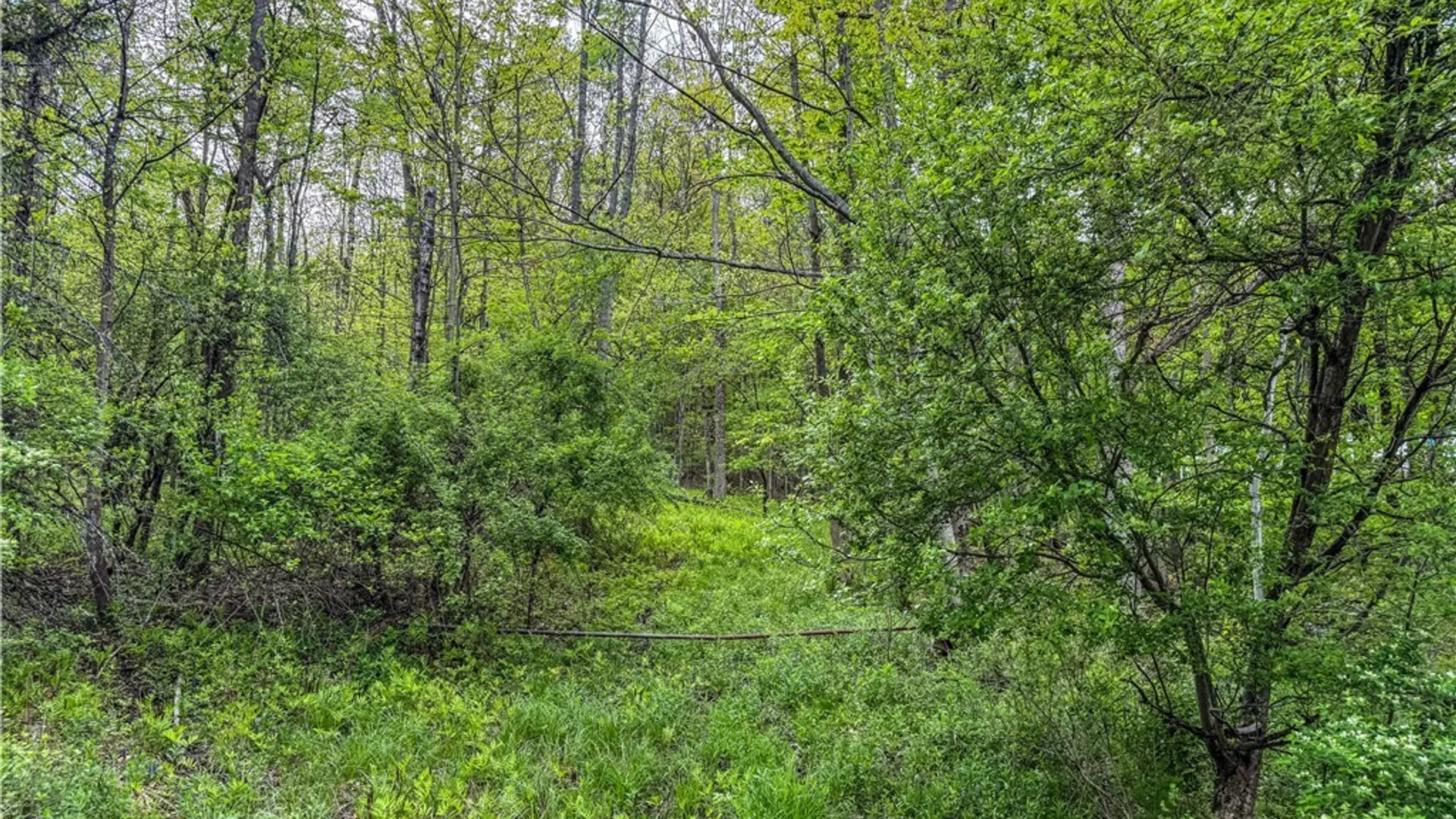 Property at V/L County Road 49, Rushford, NY 14777 13