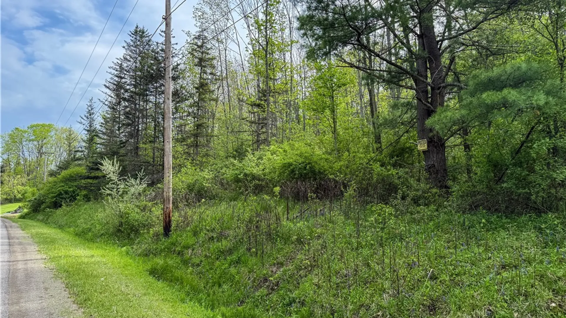 Property at V/L County Road 49, Rushford, NY 14777 18