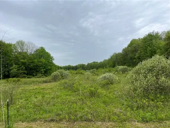 Property at Hong Kong Road, Albion, NY 13142