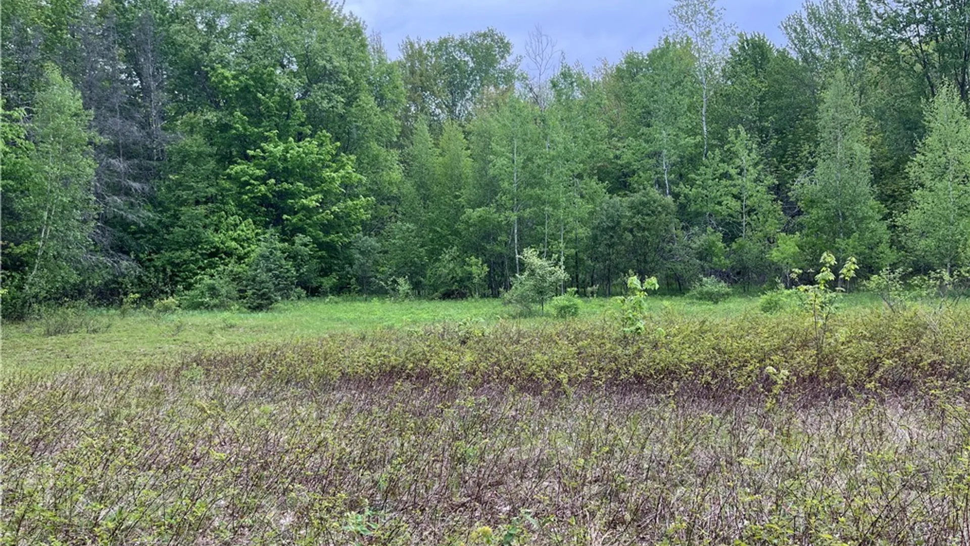 Property at Hong Kong Road, Albion, NY 13142 2