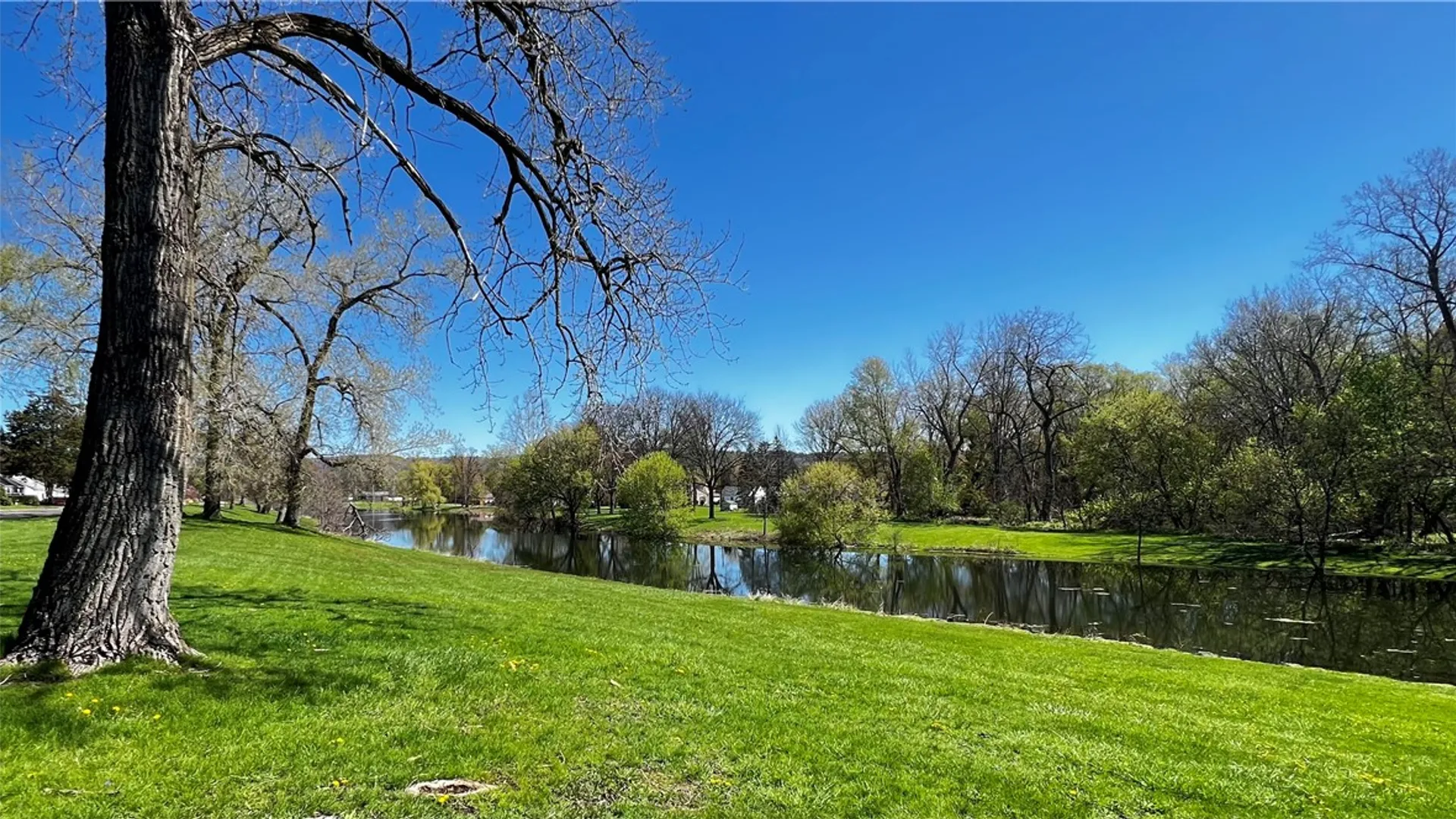 Property at 211 Overland Street, Elmira City, NY 14904 8