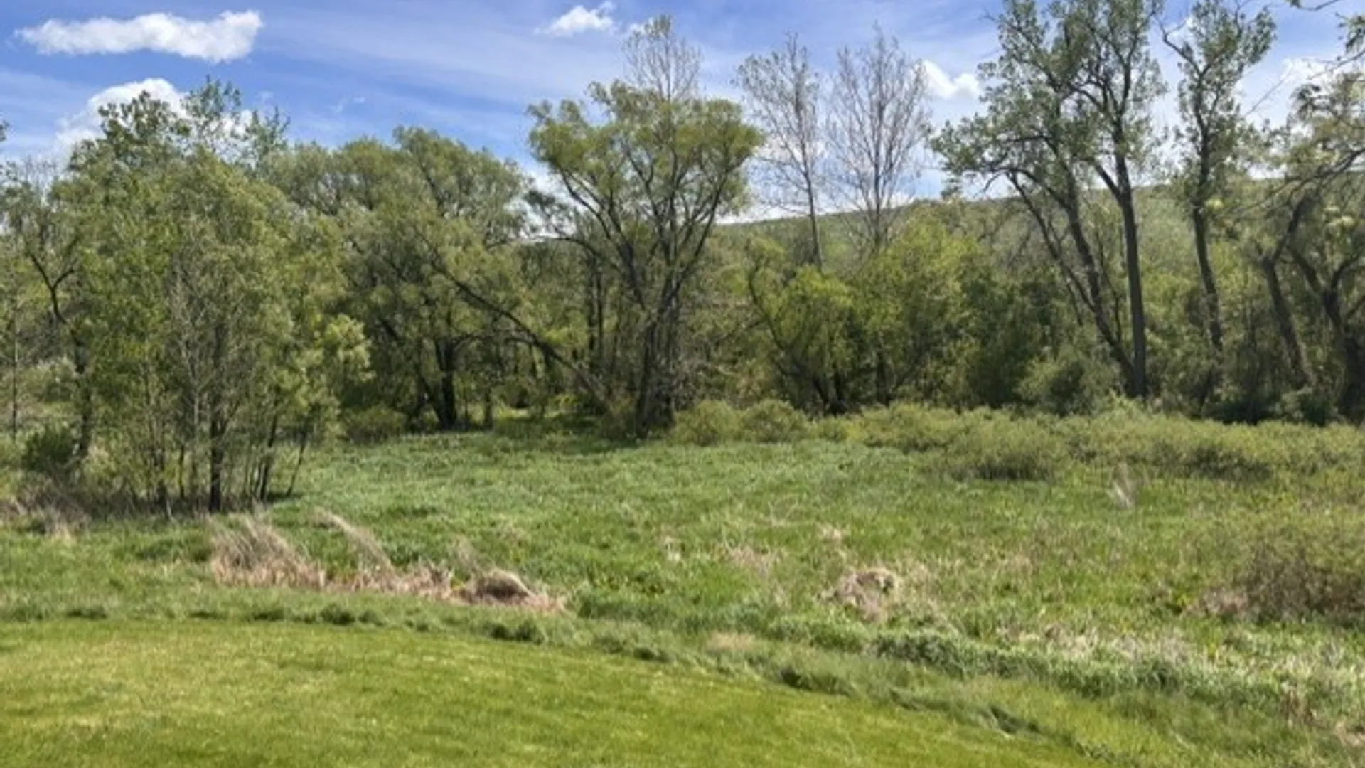 Property at 7821 State Route 21, Naples, NY 14512 15
