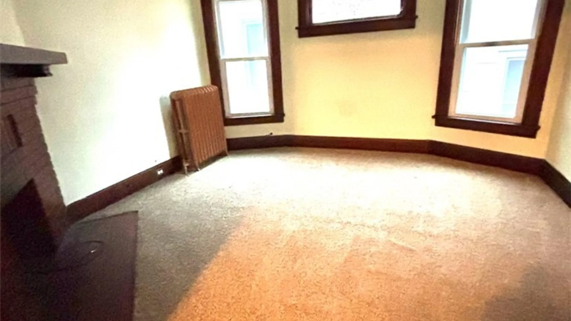 Property at 220 Stevenson Street, Buffalo, NY 14210 31