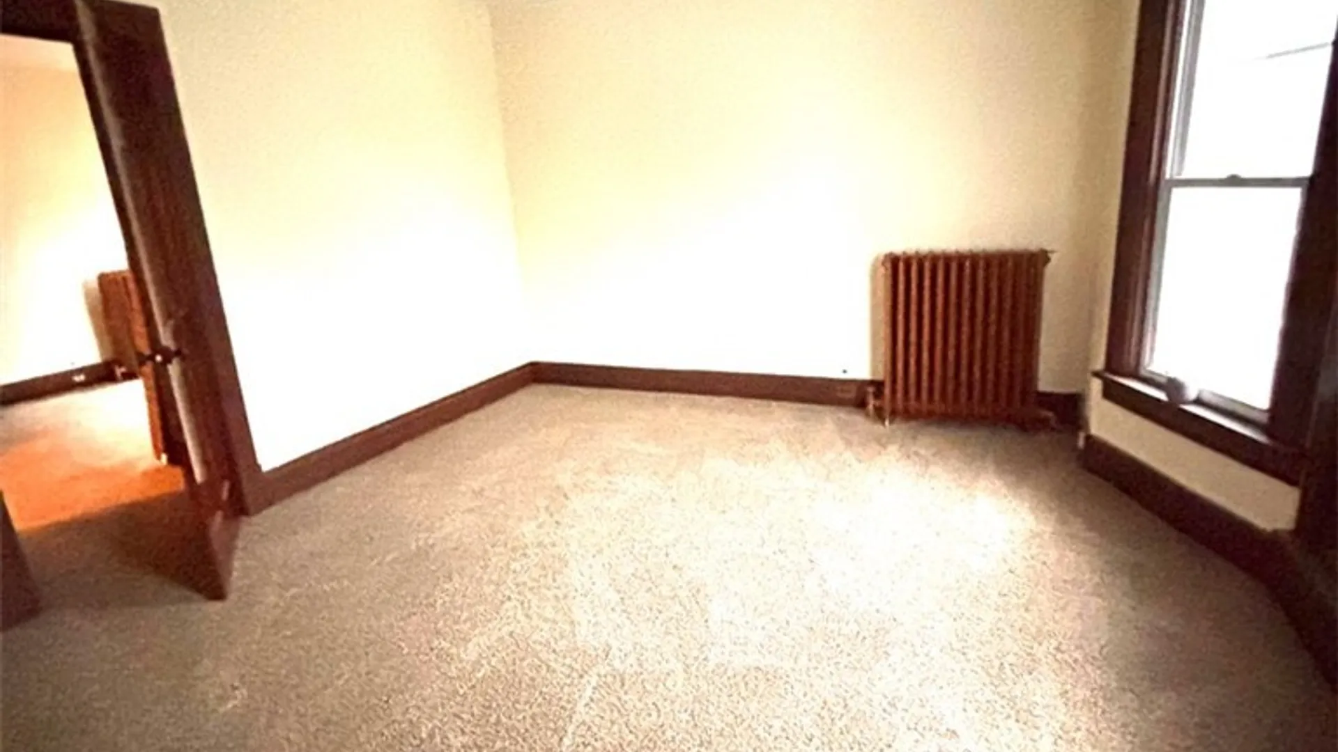 Property at 220 Stevenson Street, Buffalo, NY 14210 35