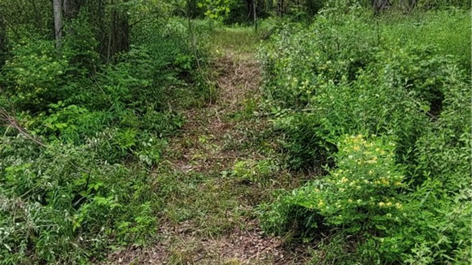 Property at Mary Lynne Lane, Guilford, NY 13780 2