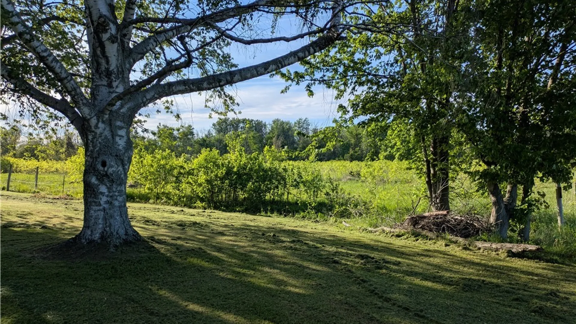 Property at 1474 Marshall Road, Yates, NY 14098 13