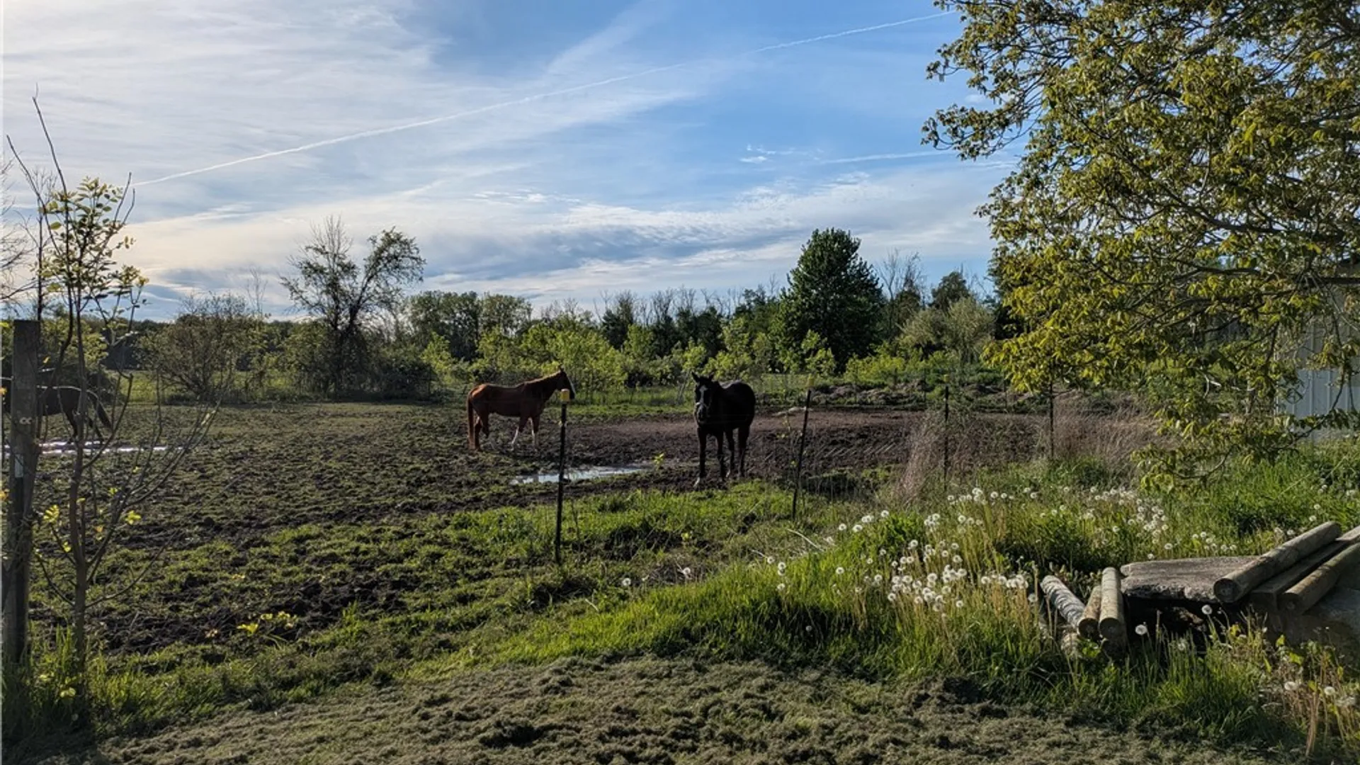 Property at 1474 Marshall Road, Yates, NY 14098 6
