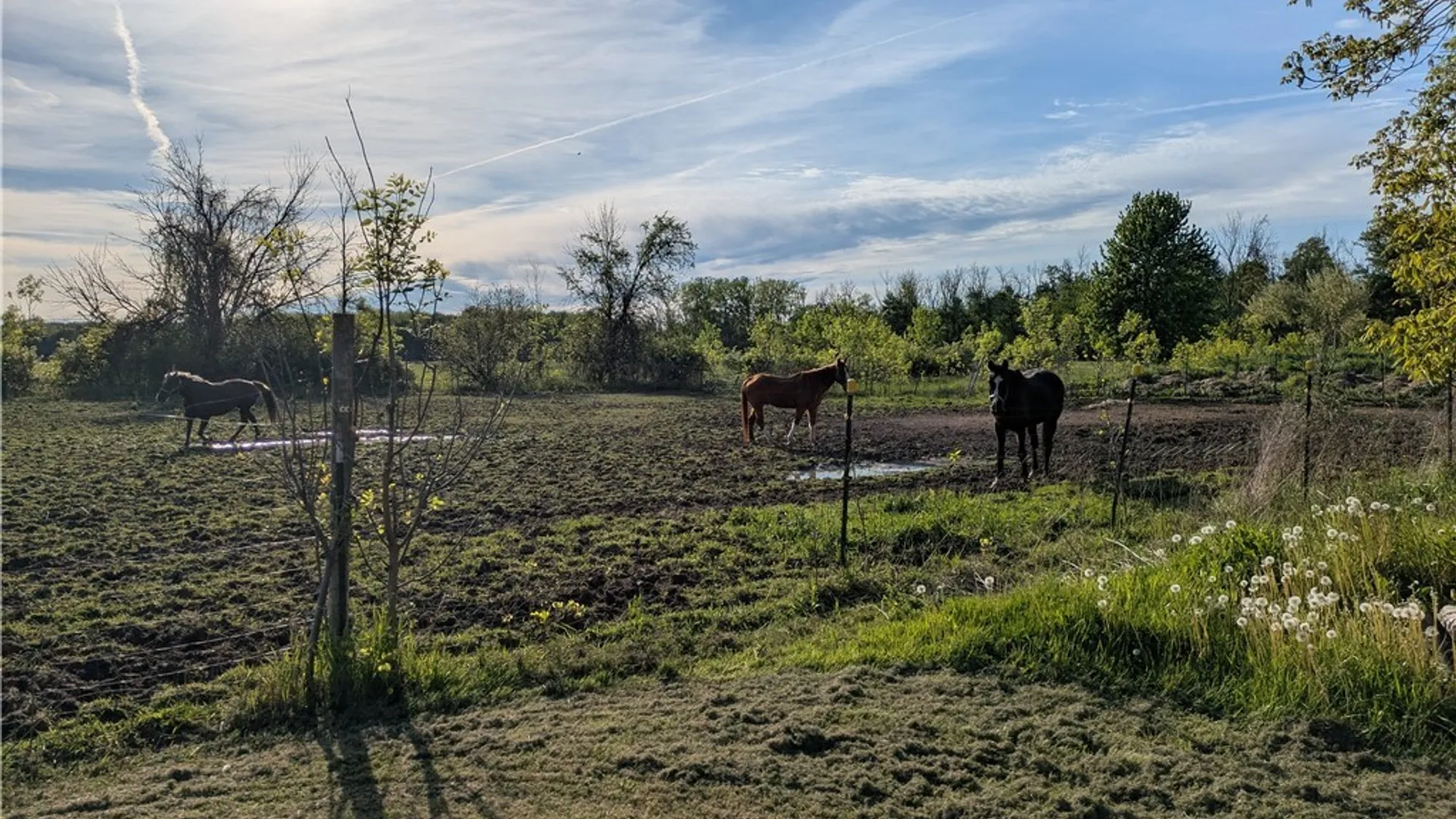 Property at 1474 Marshall Road, Yates, NY 14098 7