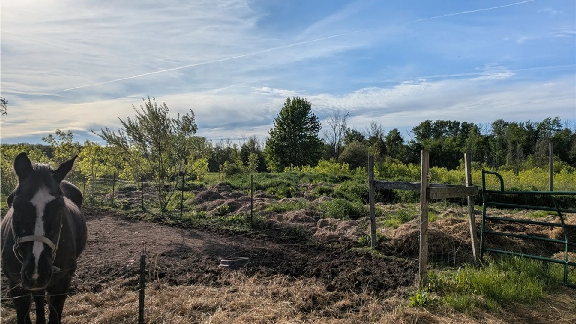 Property at 1474 Marshall Road, Yates, NY 14098 8