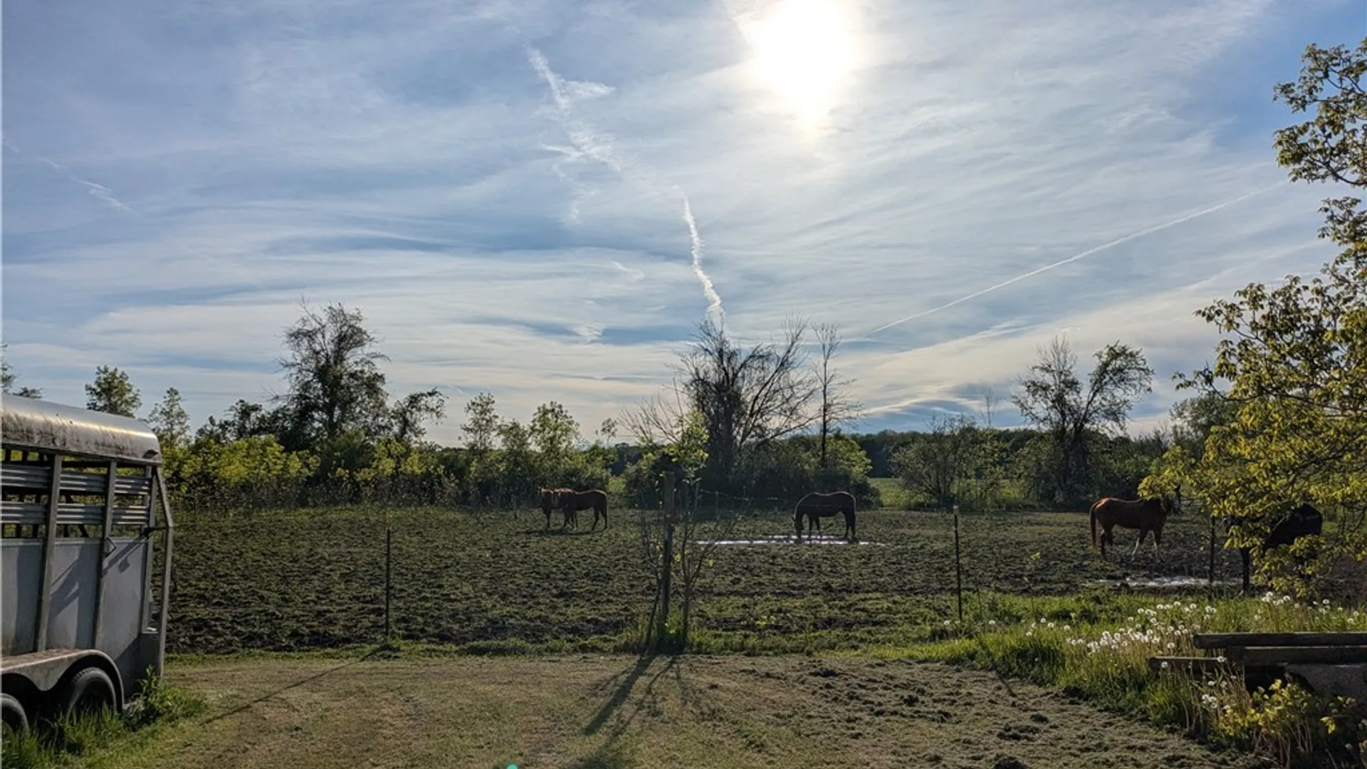 Property at 1474 Marshall Road, Yates, NY 14098 9