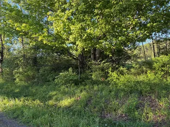 Property at 0 County Highway 4, Butternuts, NY 13776