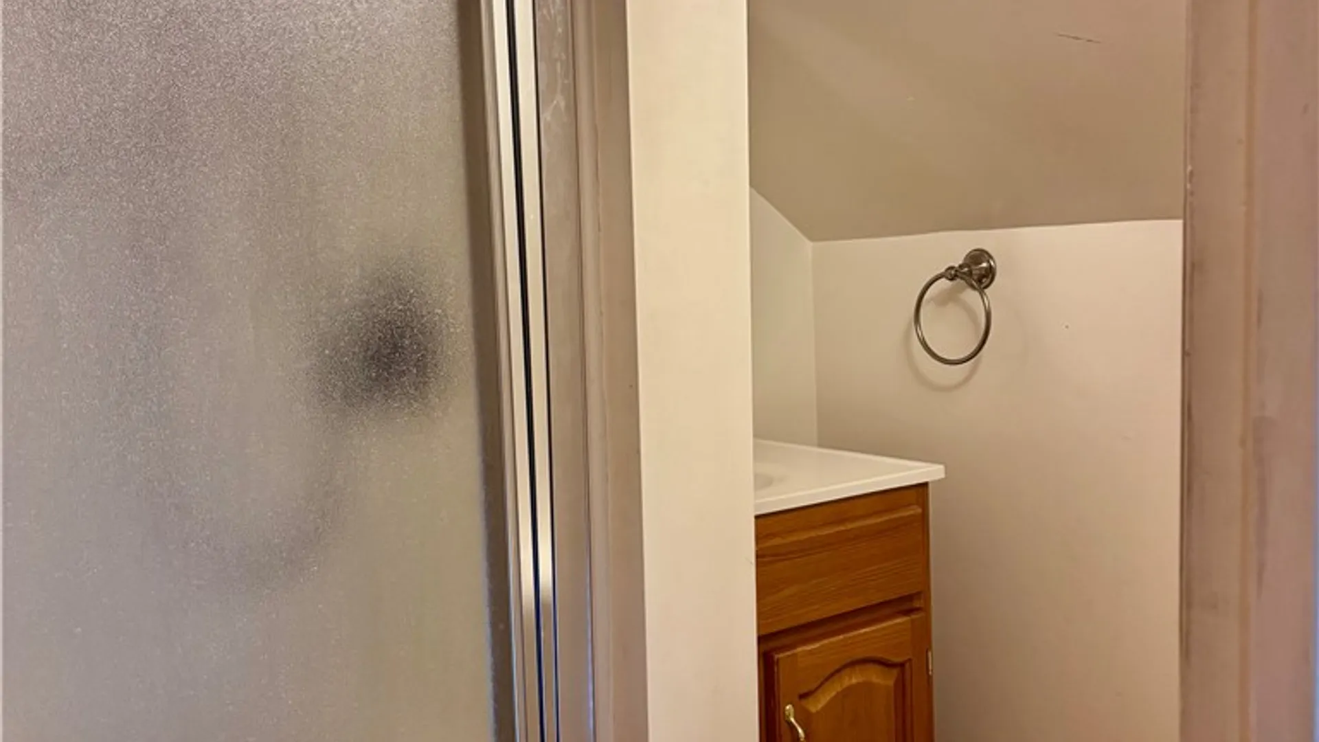 Property at 31 N Clinton Street, North Dansville, NY 14437 17