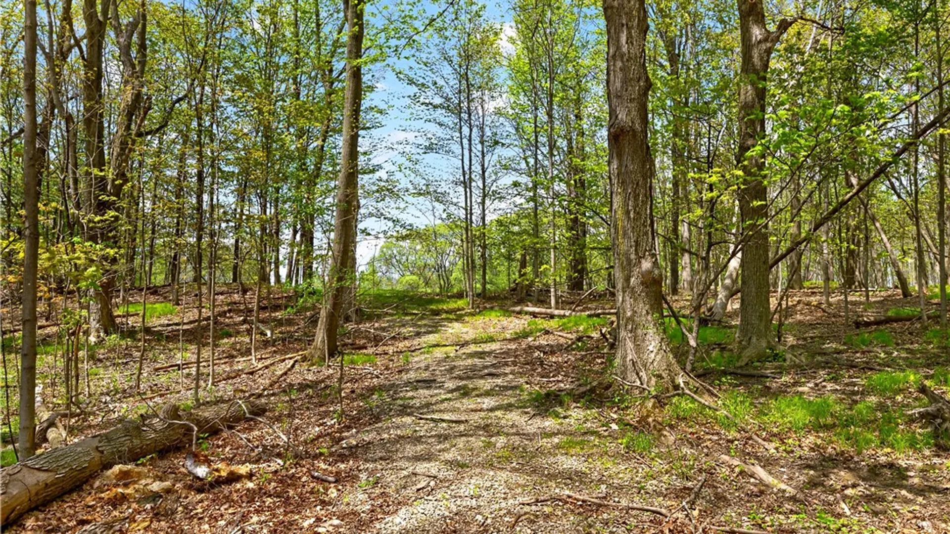 Property at 1890 Warren Road, Middlesex, NY 14507 33