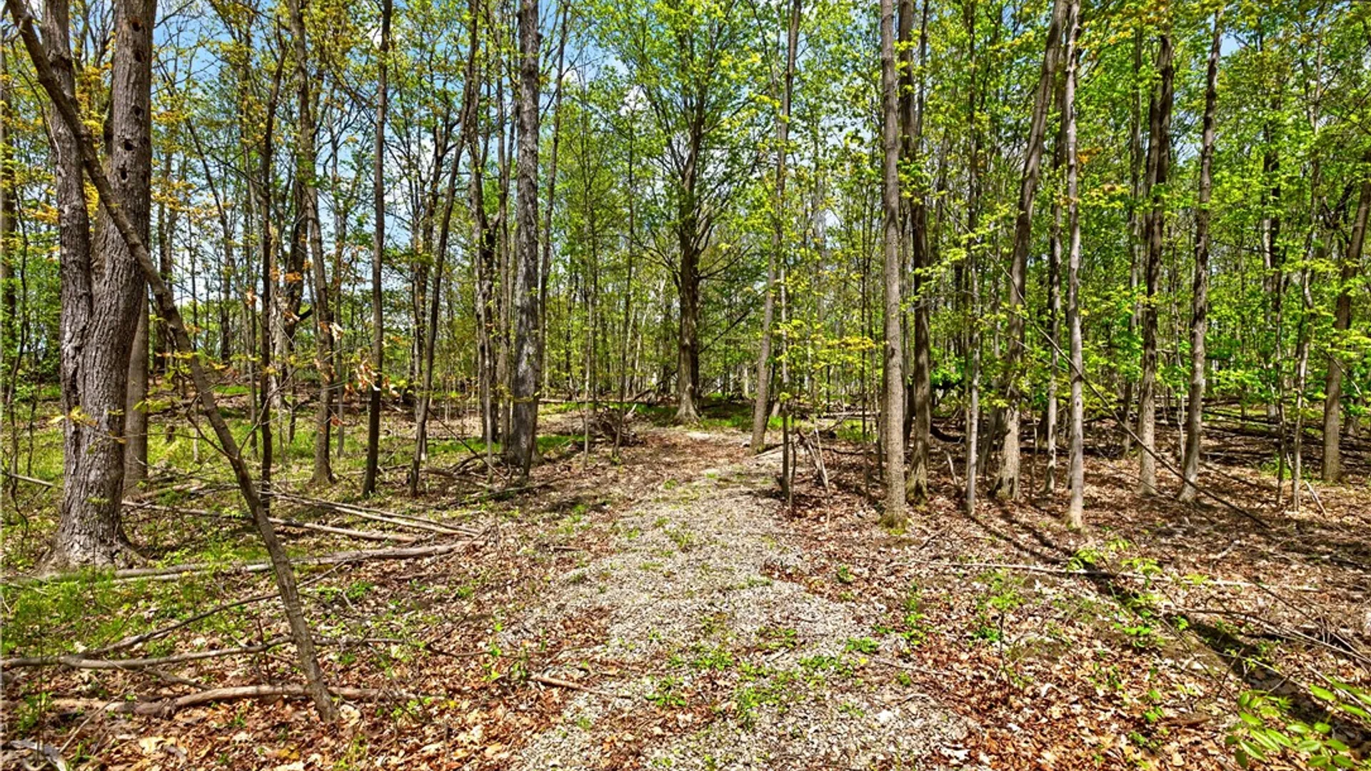 Property at 1890 Warren Road, Middlesex, NY 14507 34