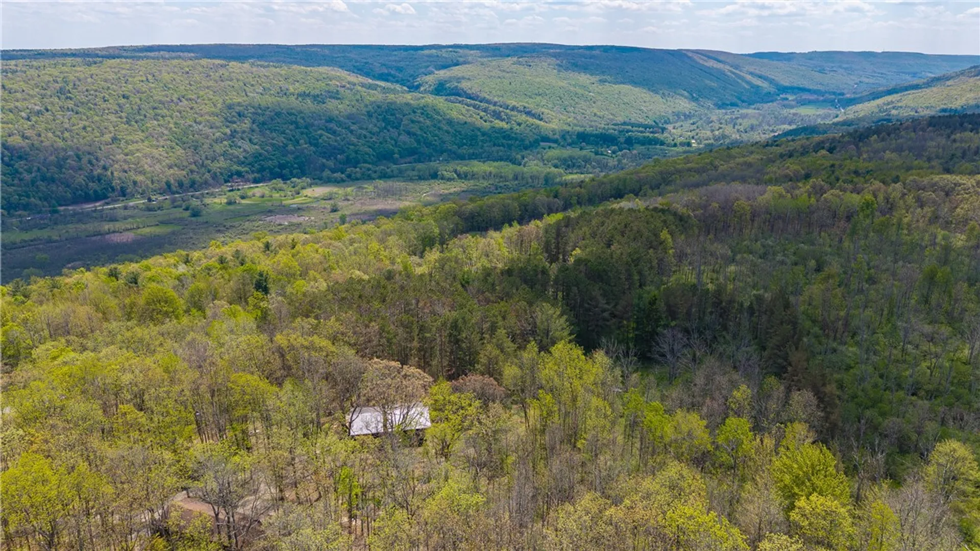Property at 1890 Warren Road, Middlesex, NY 14507 37