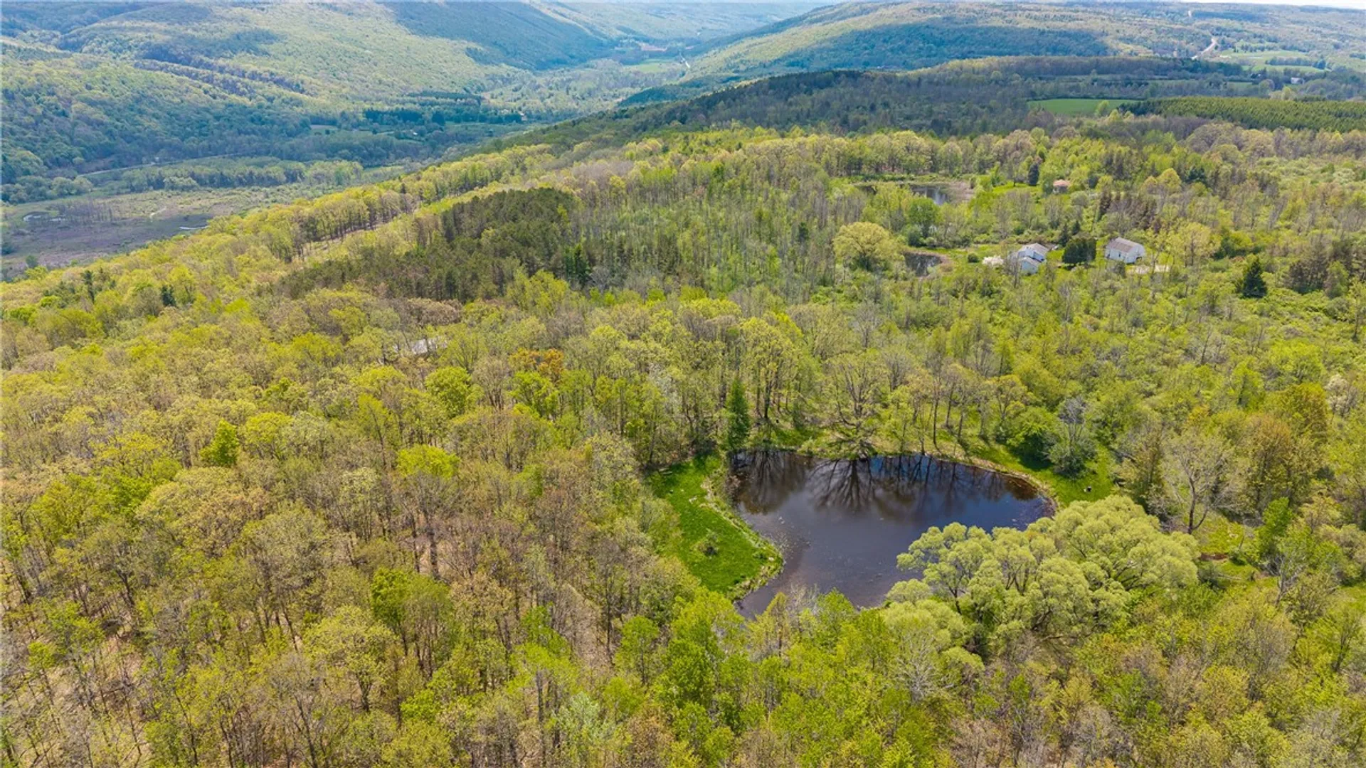 Property at 1890 Warren Road, Middlesex, NY 14507 39