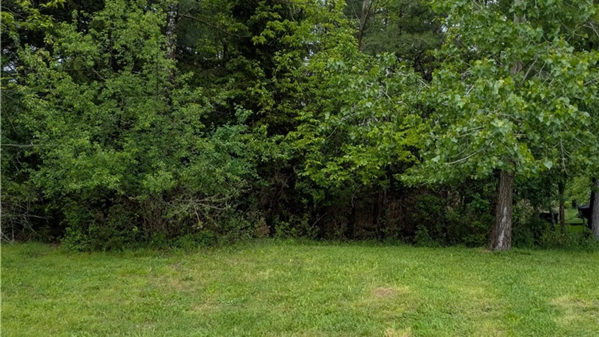 Property at 5552 Lakewood Trail, South Bristol, NY 14424 2
