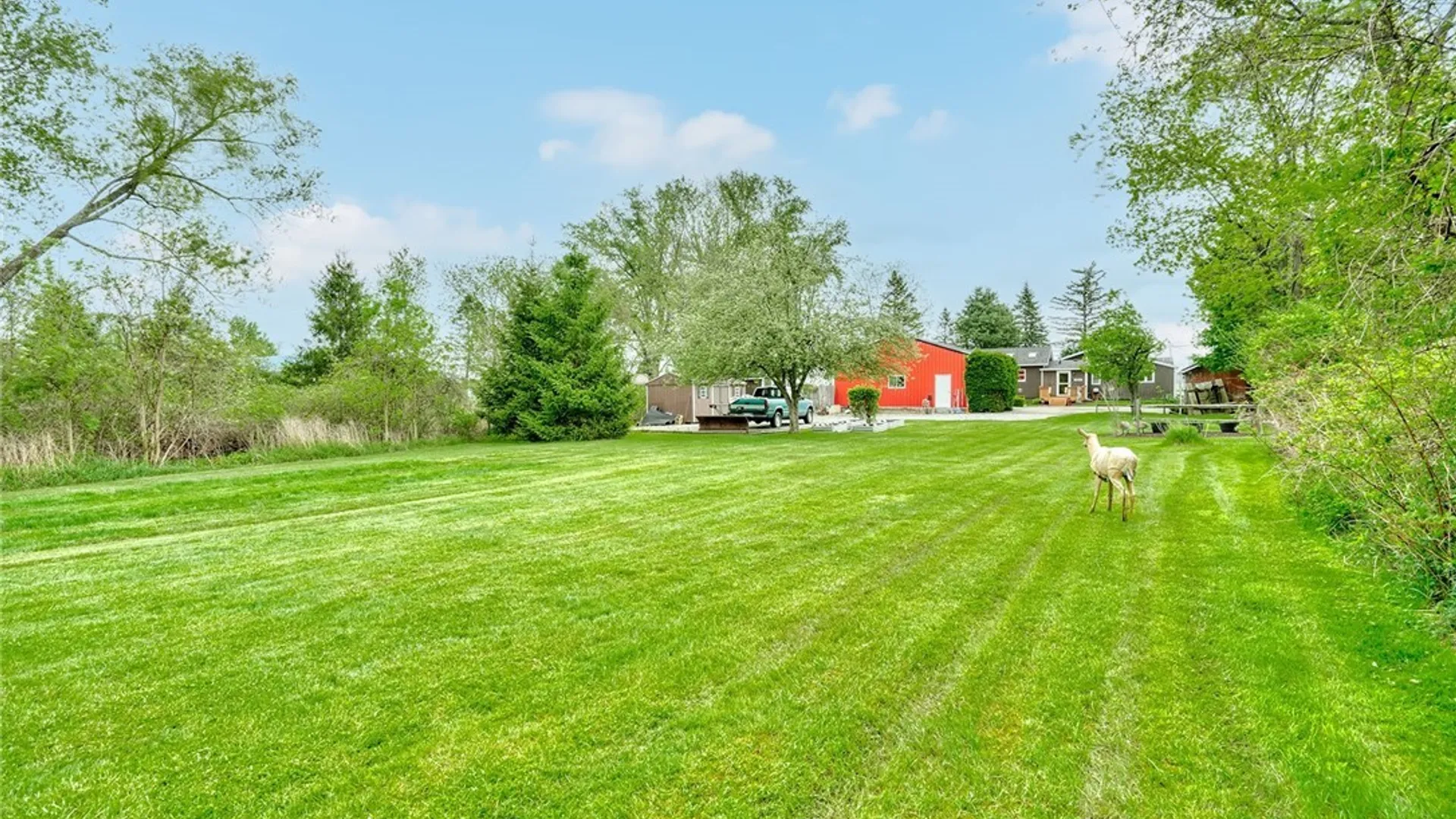 Property at 2492 Lakeville Road, Avon, NY 14414 10