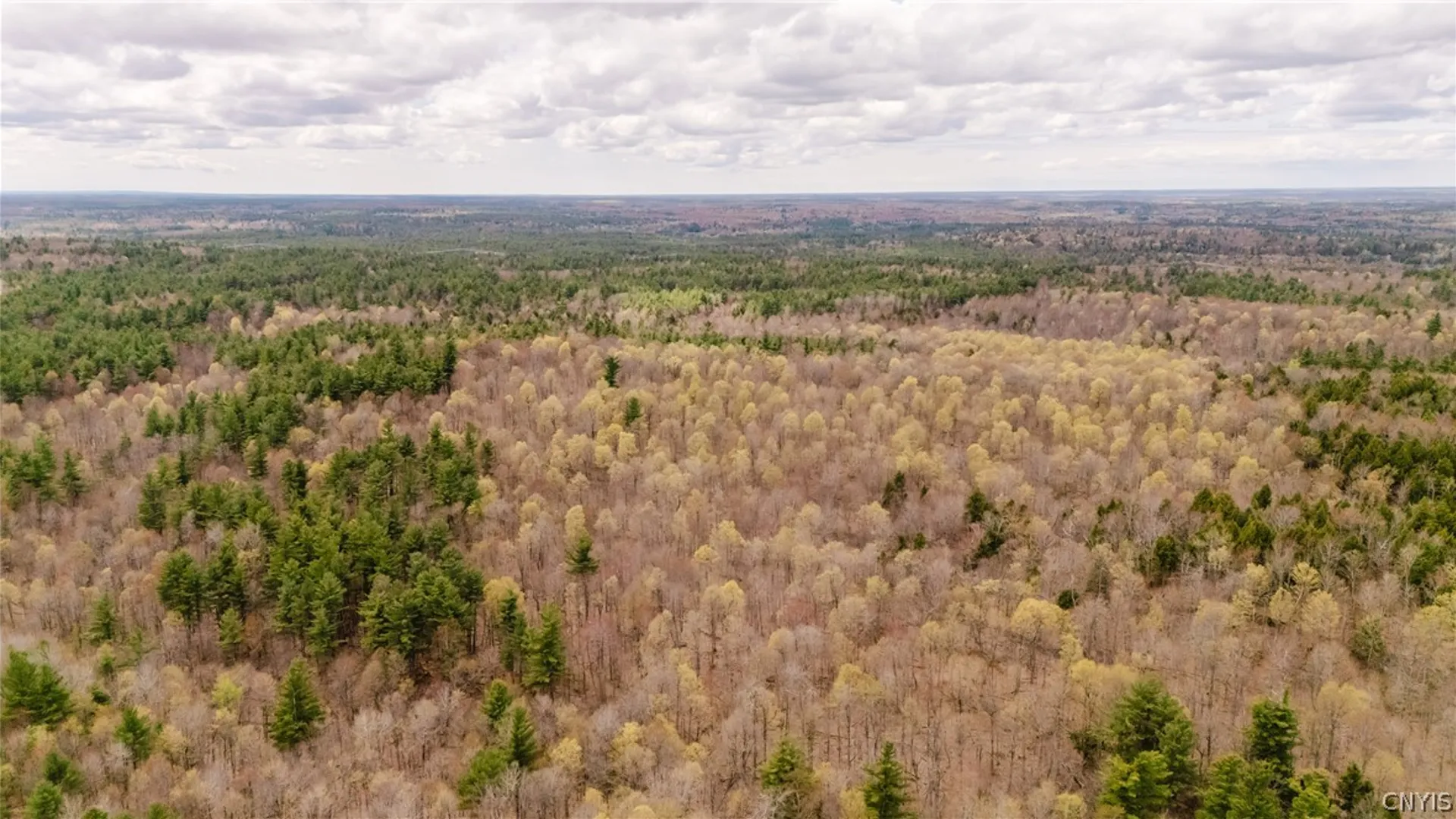 Property at Lot 1 Bingo Road, Edwards, NY 13635 28