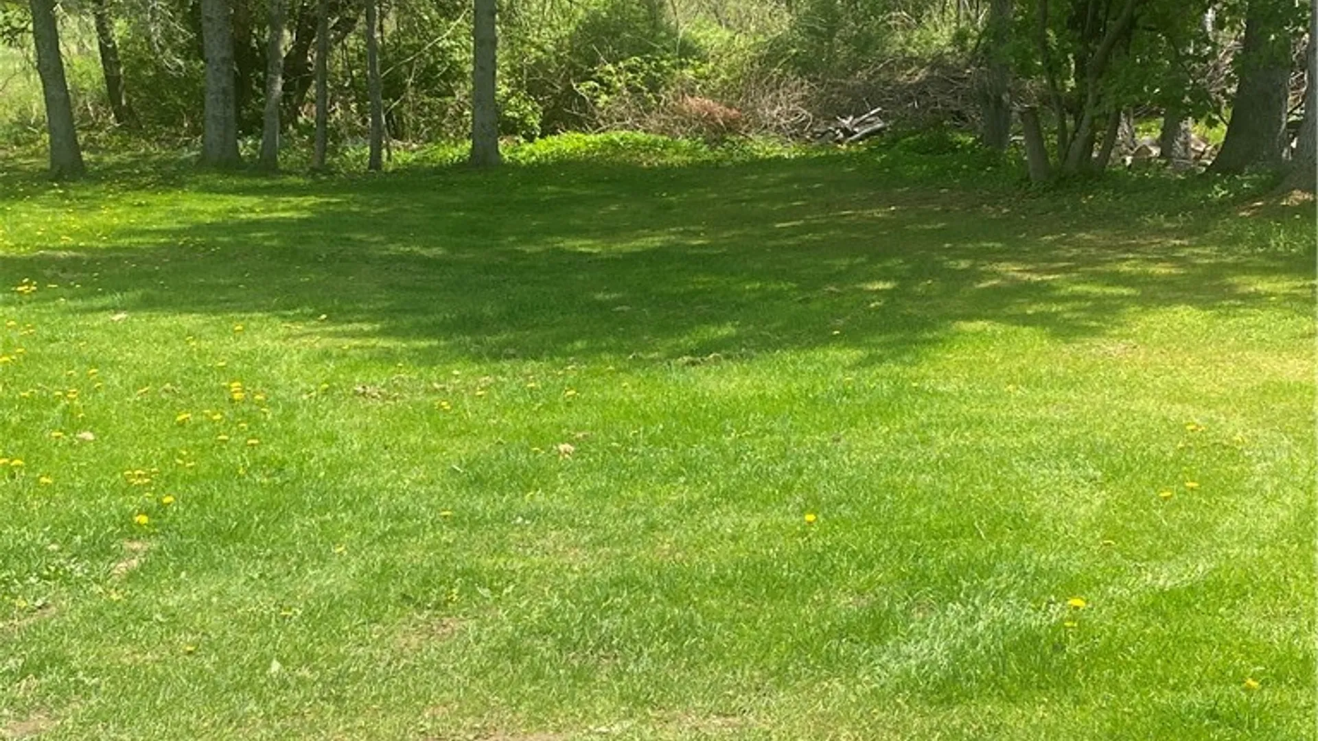 Property at 54 River Street, Harpersfield, NY 12167 20