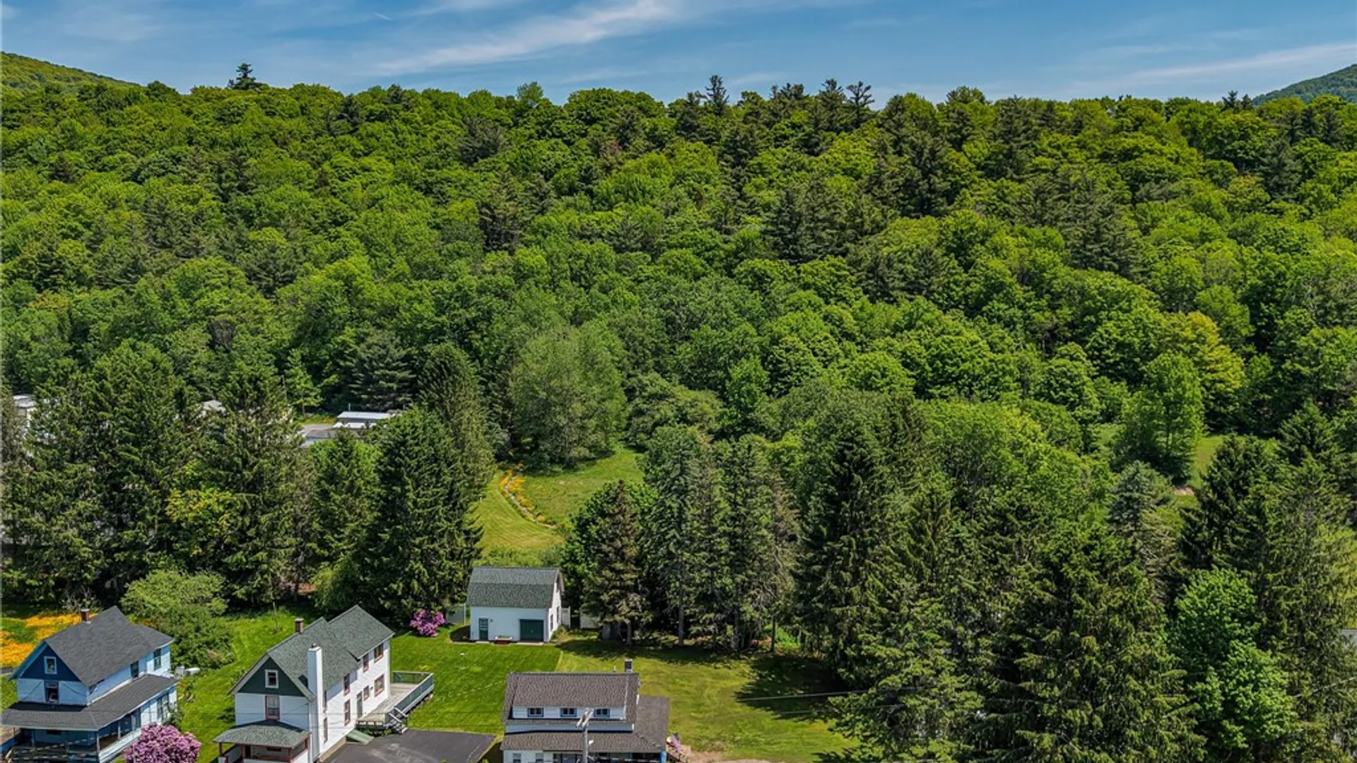 Property at 54 River Street, Harpersfield, NY 12167 26
