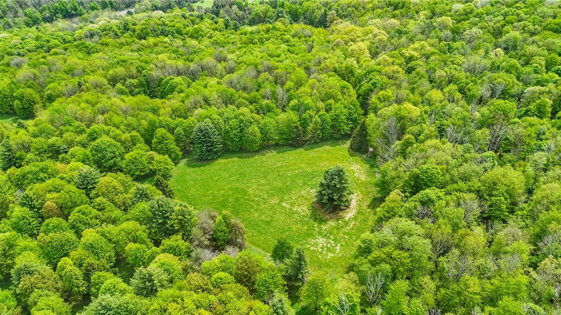 Property at 828 State Route 79, Richford, NY 13835 13