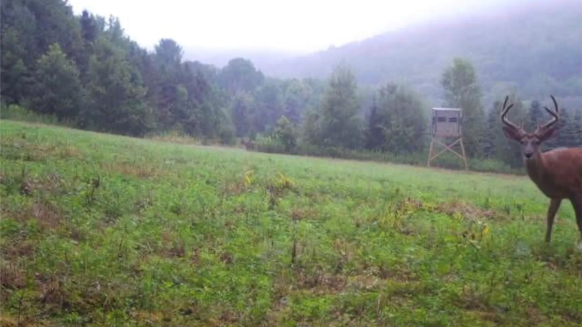 Property at 828 State Route 79, Richford, NY 13835 49