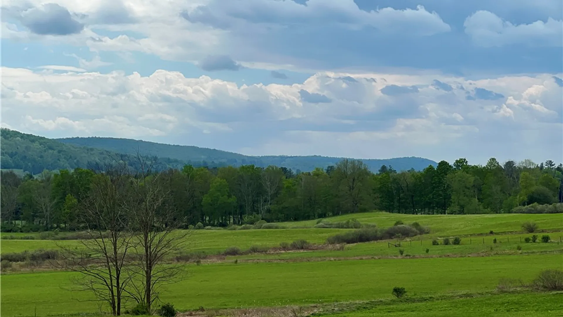 Property at 1957 State Highway 51, Morris, NY 13808 27