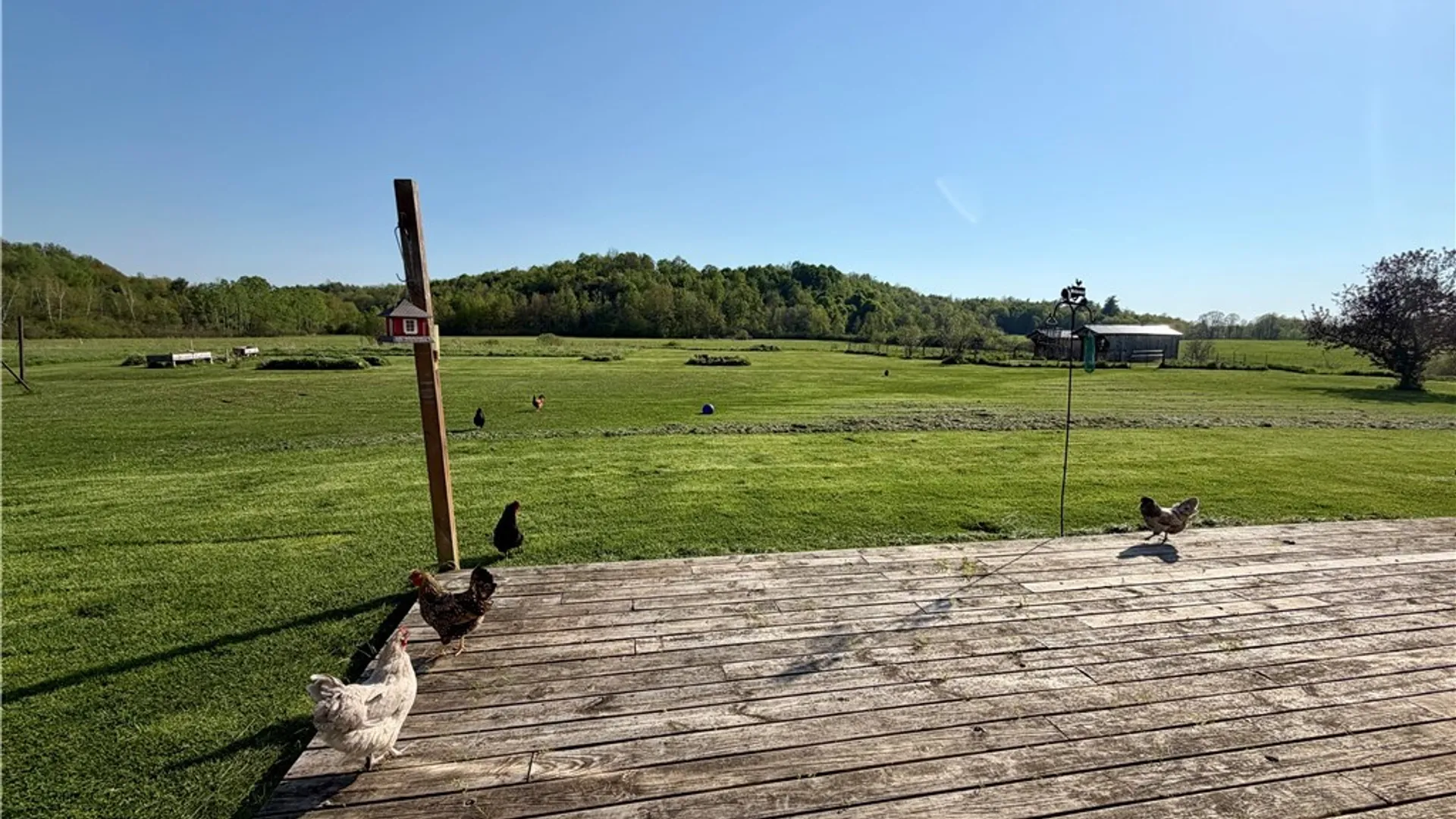 Property at 42583 County Route 24, Antwerp, NY 13608 29