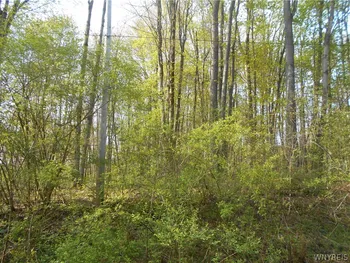 Property at 0 Neamon Drive, Yorkshire, NY 14042
