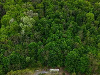 1937 State Route 245, Italy, NY 14513