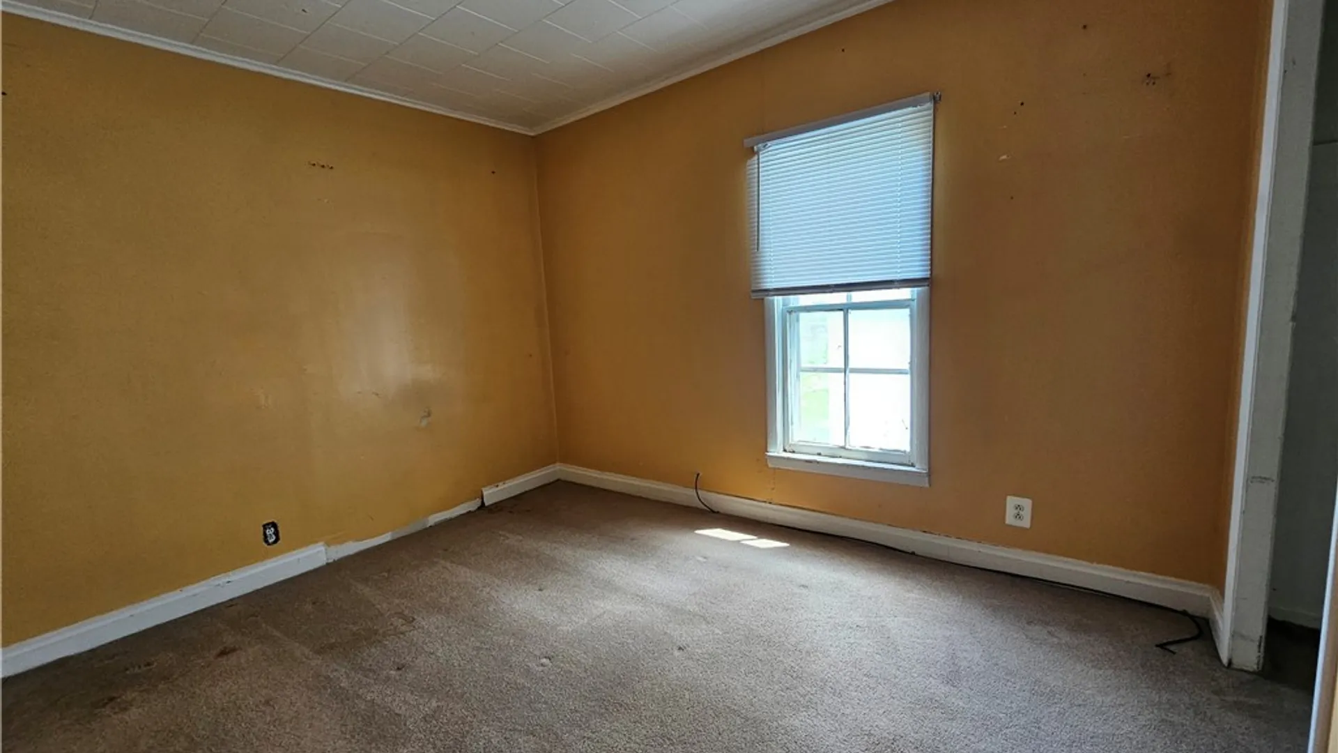 Property at 254 Anderson Avenue, Rochester, NY 14607 6