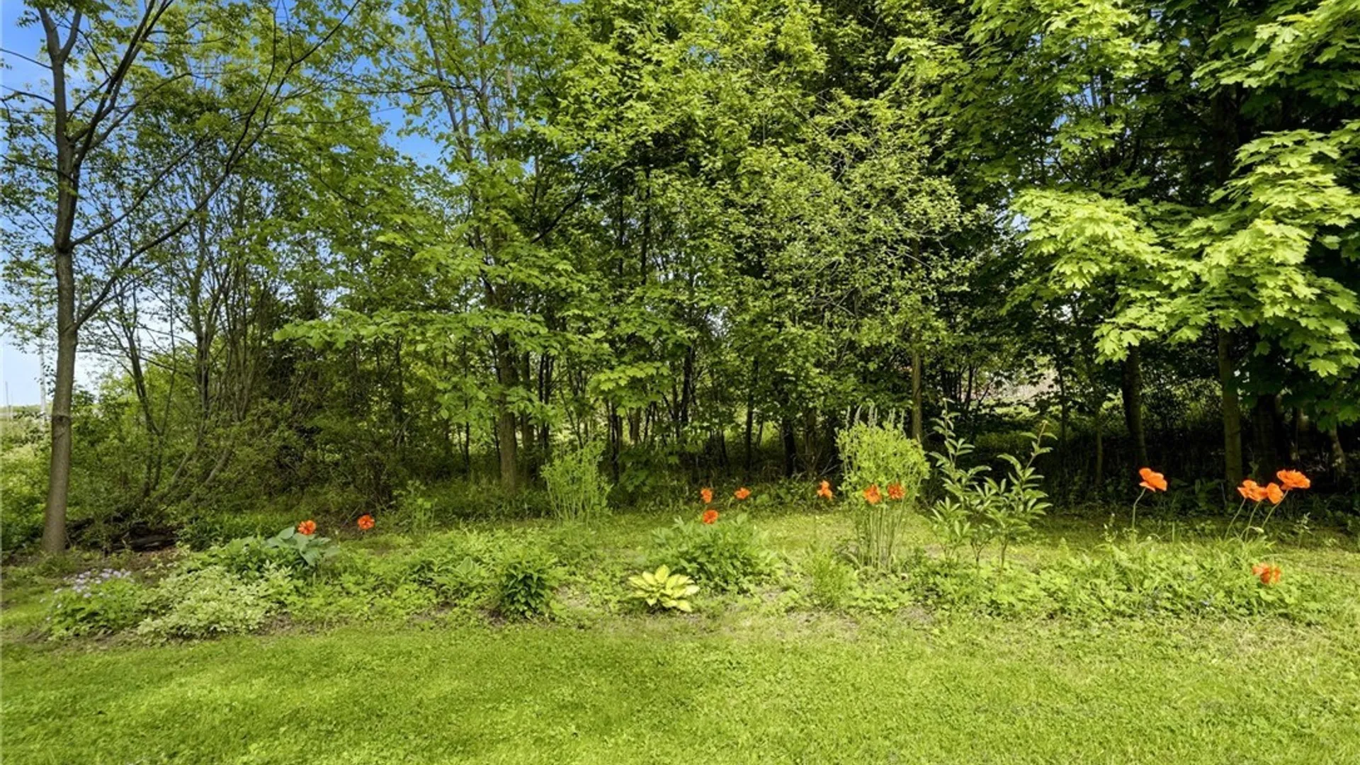 Property at 3330 E Pleasant Drive, Hamburg, NY 14075 19