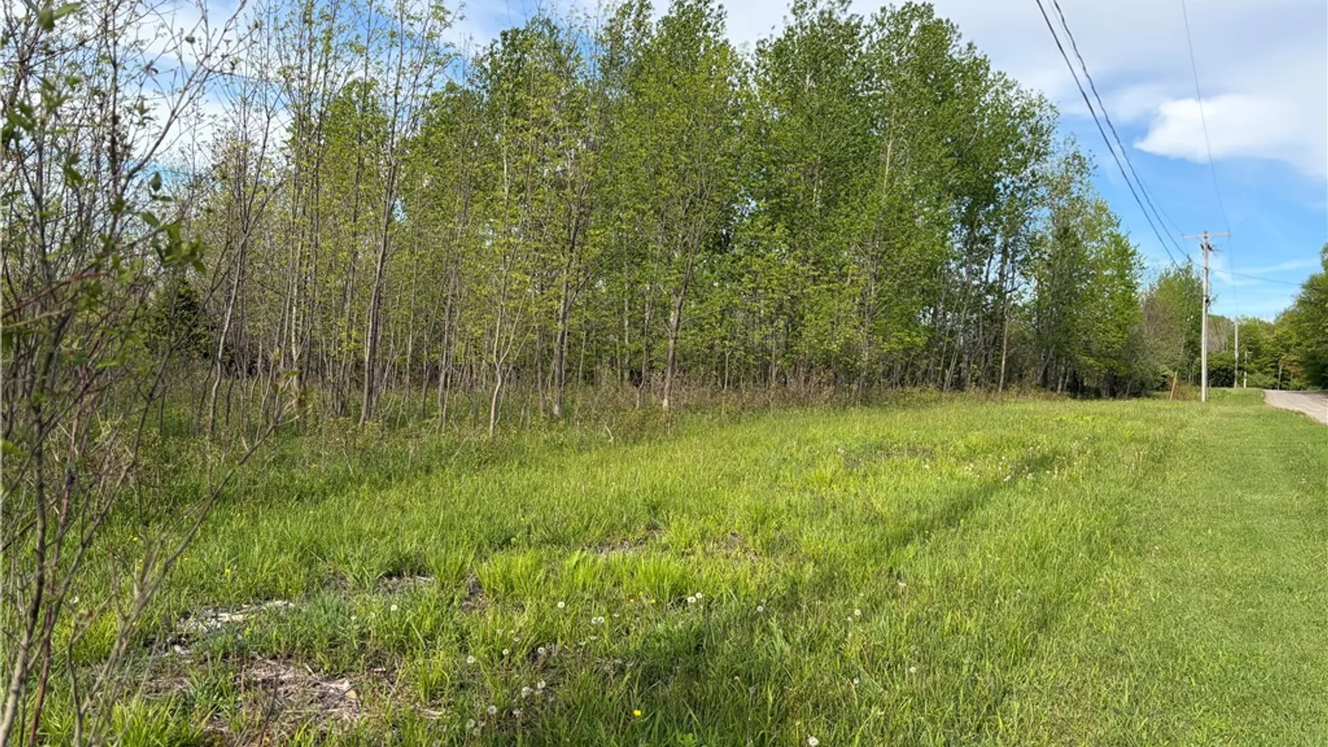 Property at 0 Deer Pond Acres Lot #38, Orangeville, NY 14569 2