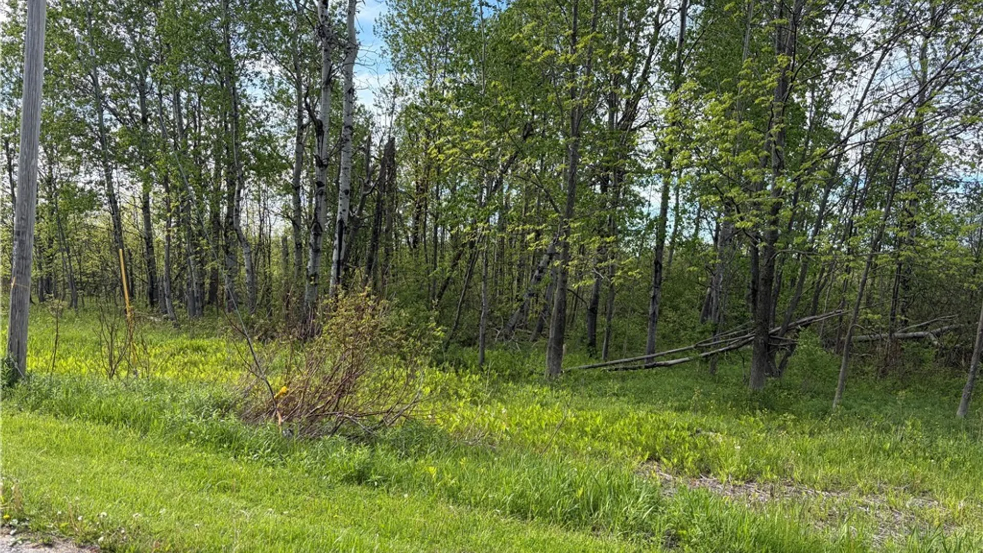 Property at 0 Deer Pond Acres Lot #37, Orangeville, NY 14569 2