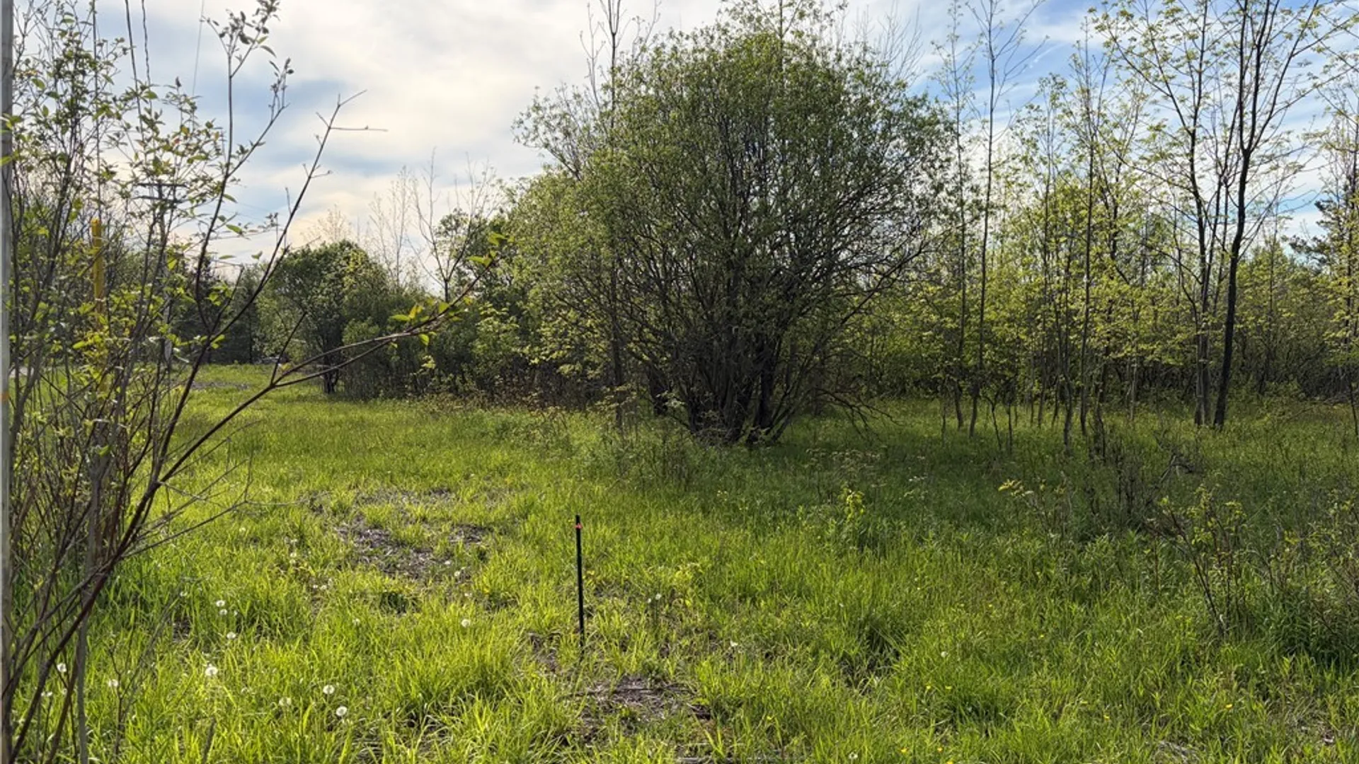 Property at 0 Deer Pond Acres Lot #37, Orangeville, NY 14569 3