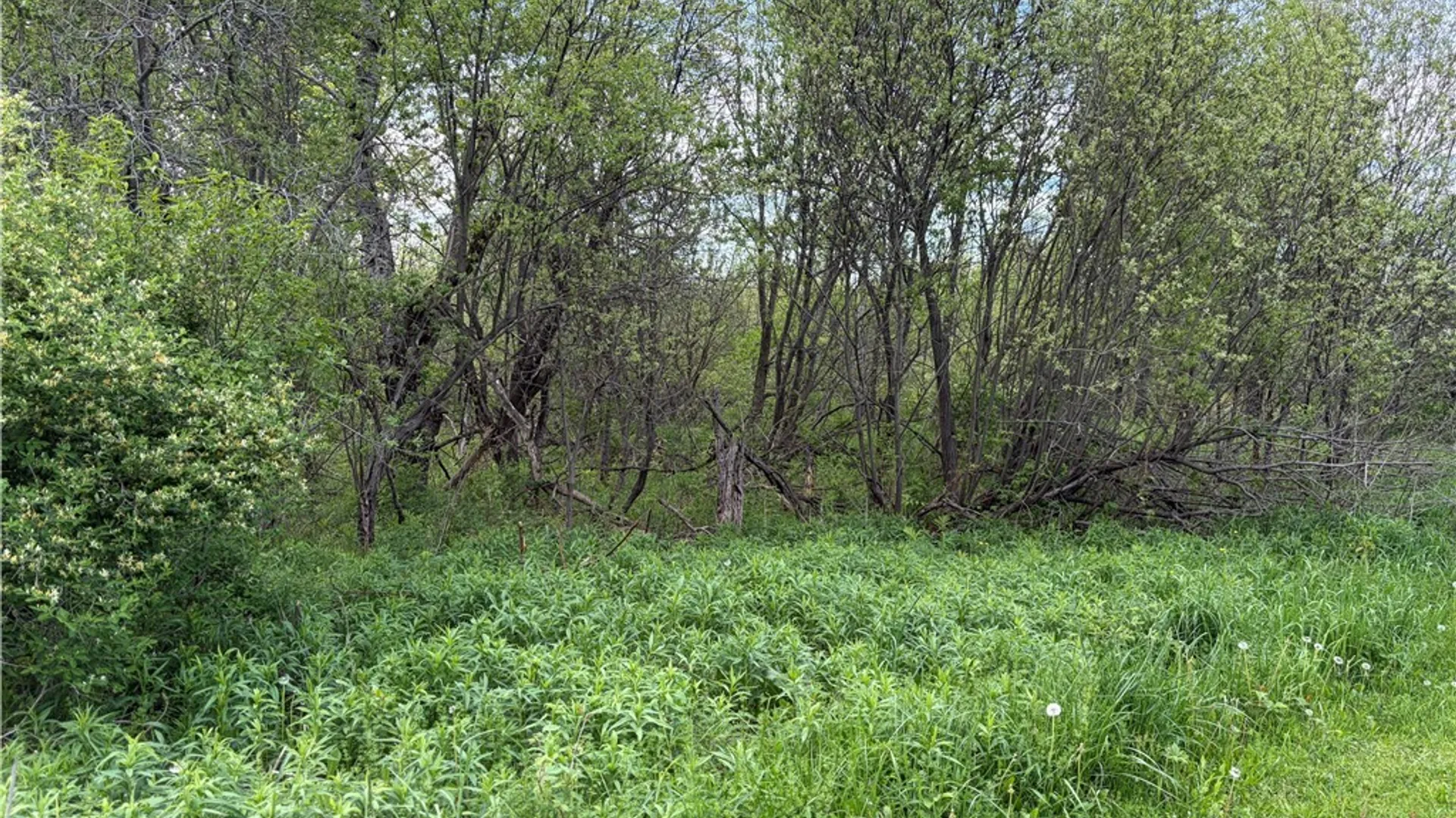 Property at 0 Deer Pond Acres Lot #37, Orangeville, NY 14569 6