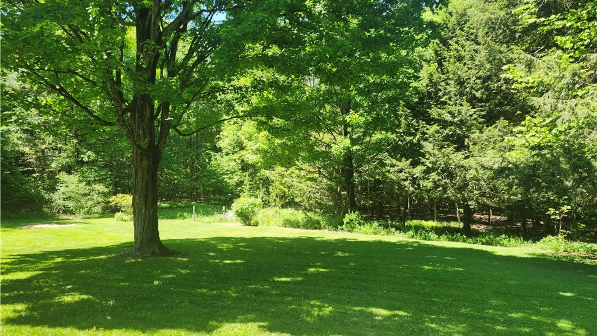 Property at 209 Pangborn Road, Hastings, NY 13076 6