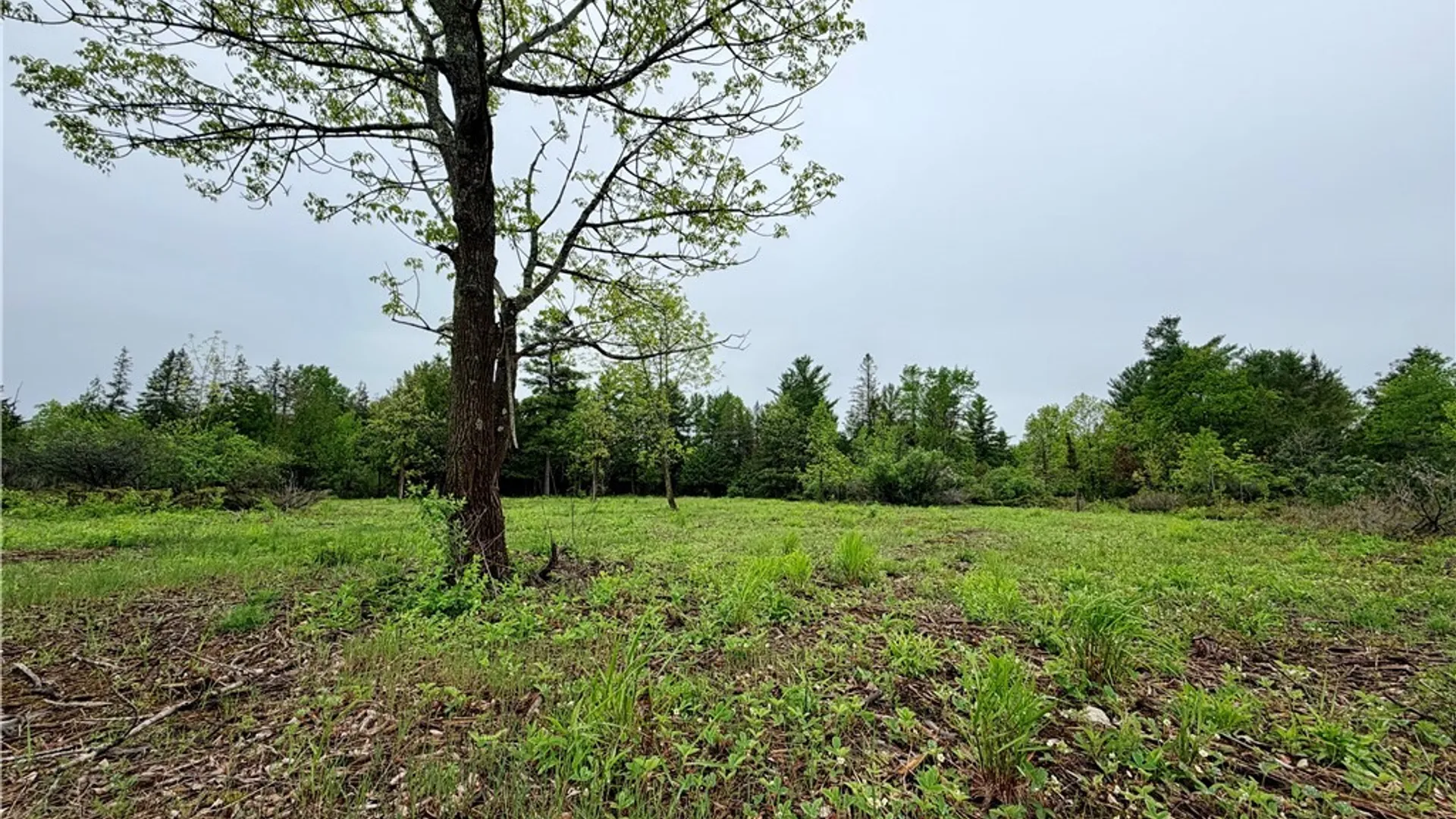 Property at County Rte 8, Cape Vincent, NY 13618 2