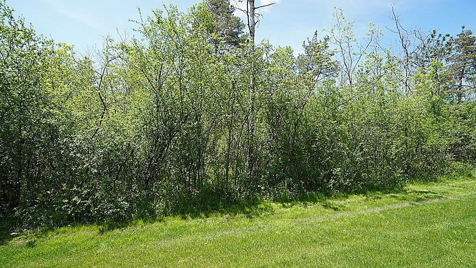 Property at 1003 Carriage Lane, West Seneca, NY 14224 41