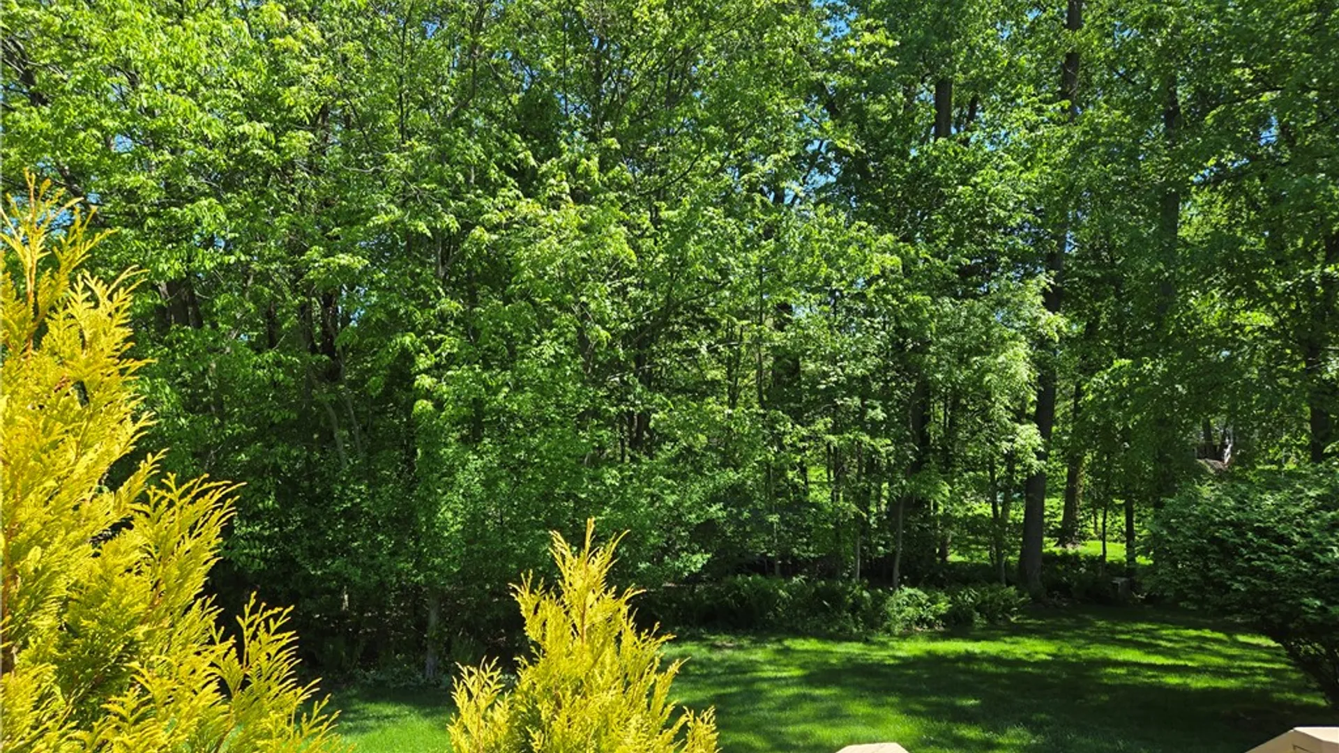 Property at 1081 Bright Stream, Webster, NY 14580 50