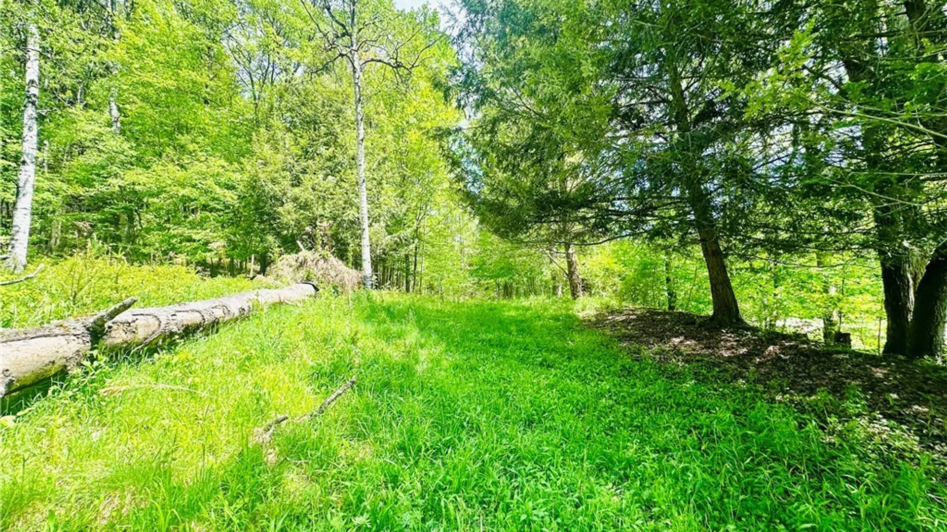 Property at 9023 State Route 21, Fremont, NY 14826 24