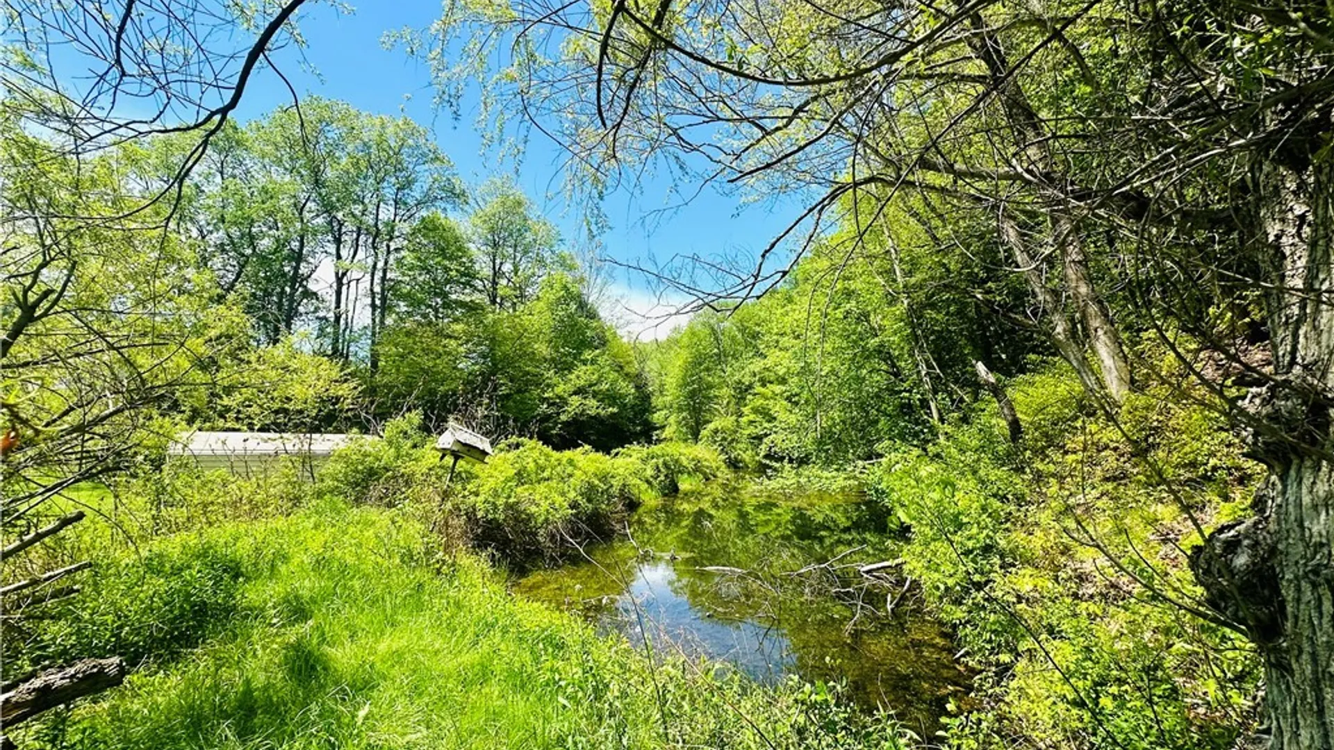 Property at 9023 State Route 21, Fremont, NY 14826 26