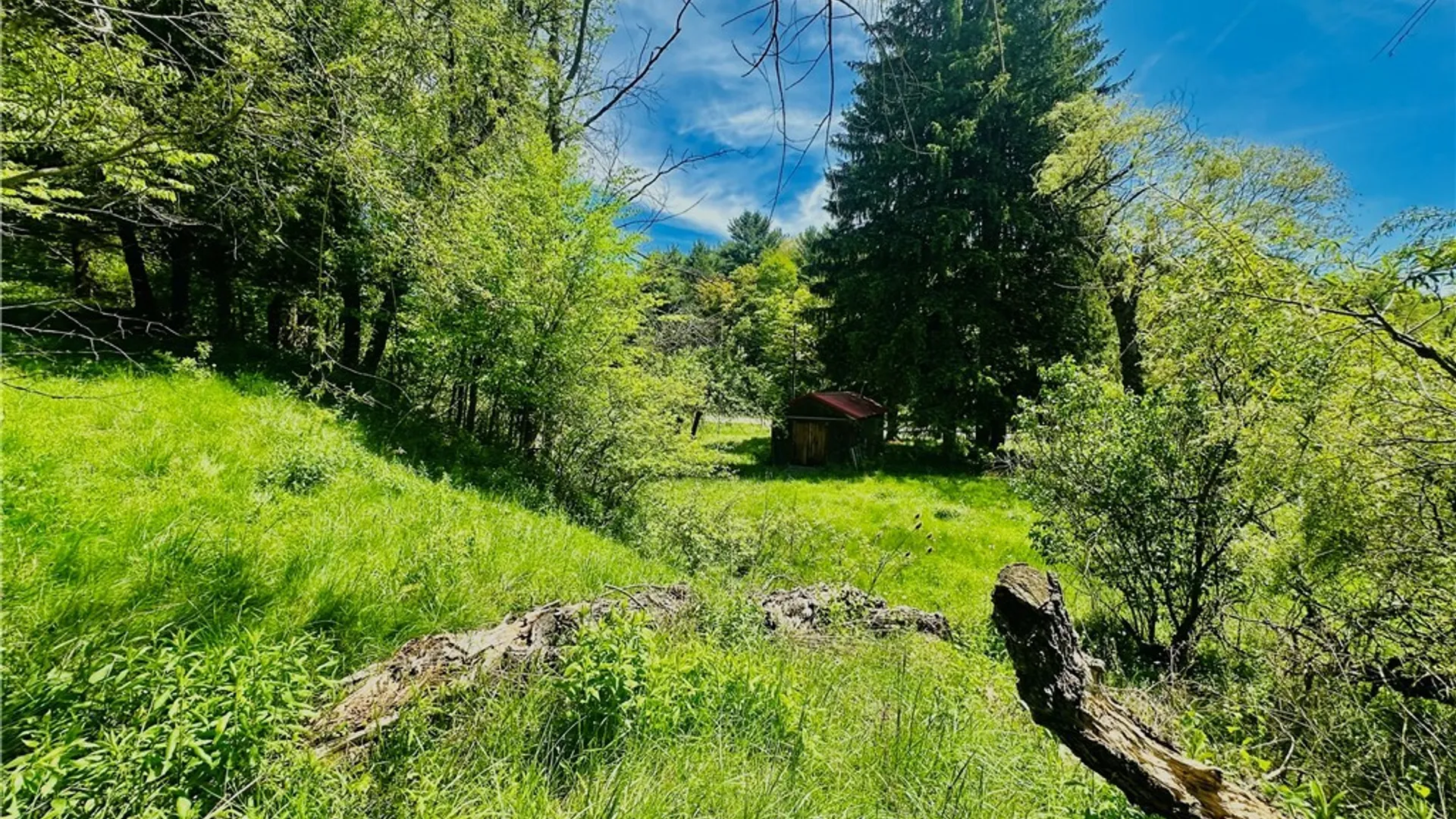 Property at 9023 State Route 21, Fremont, NY 14826 28