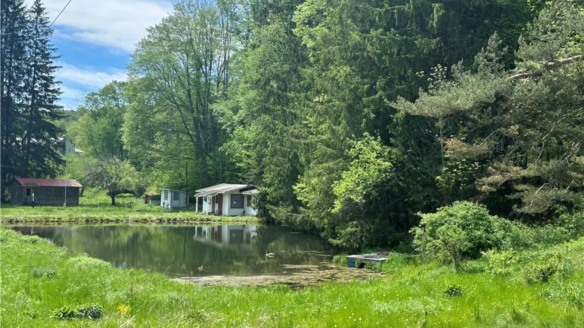 Property at 9023 State Route 21, Fremont, NY 14826 34