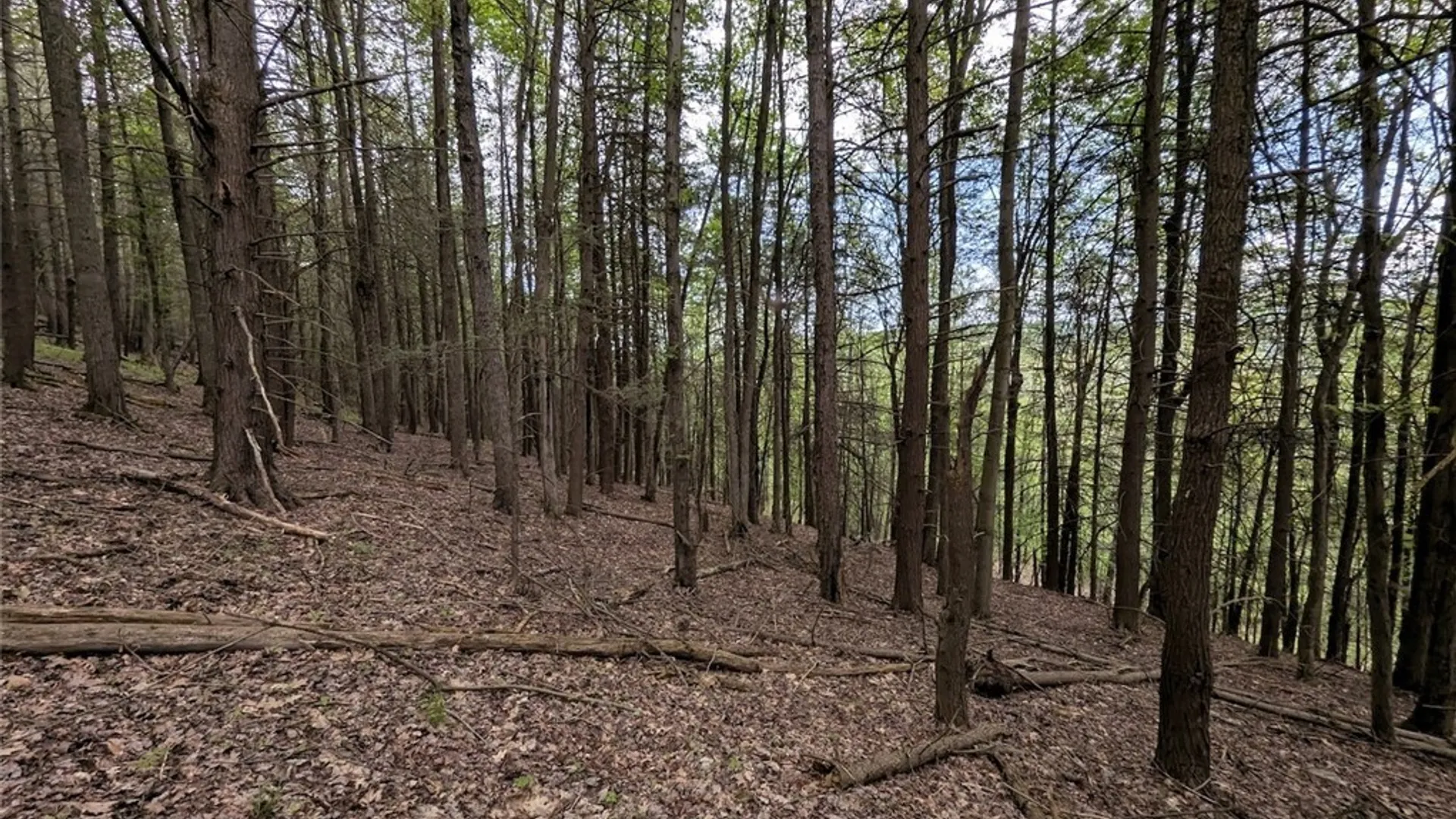 Property at N Main Extension, Hornellsville, NY 14843 34