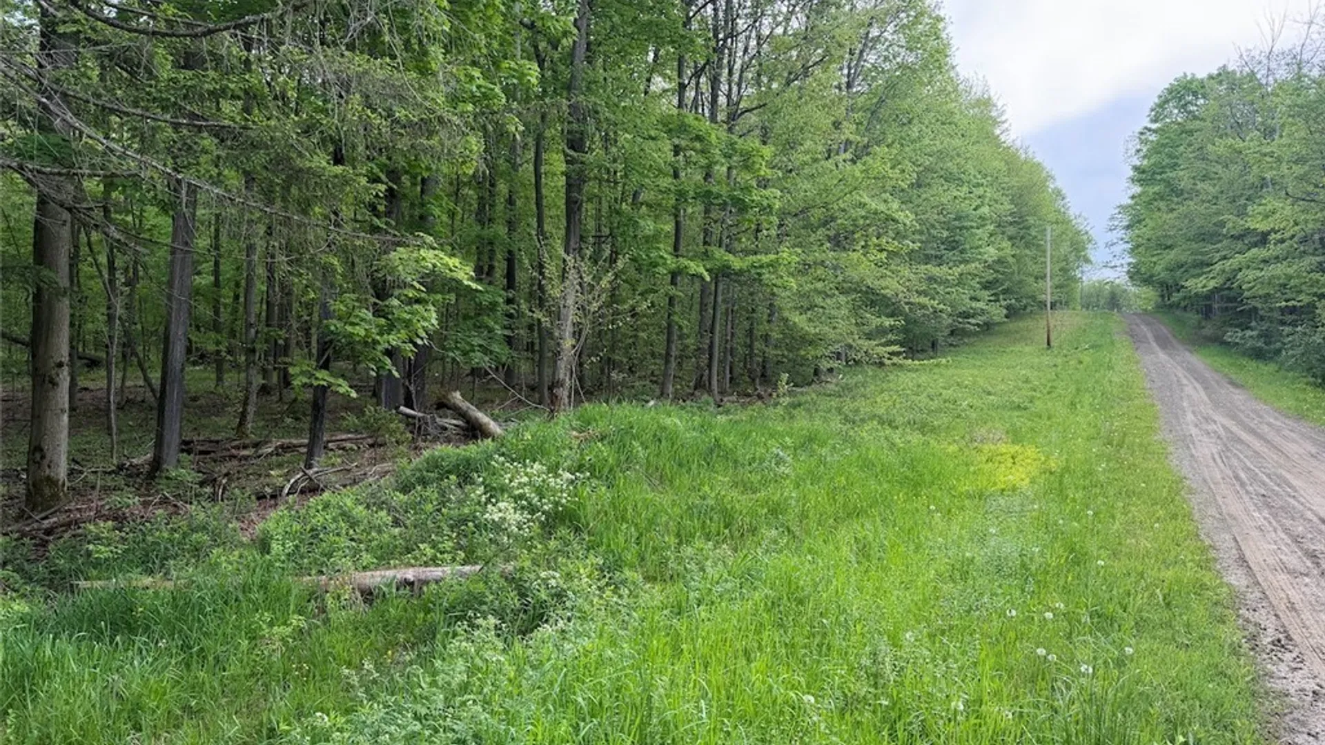 Property at Slew Road, Leon, NY 14138 3